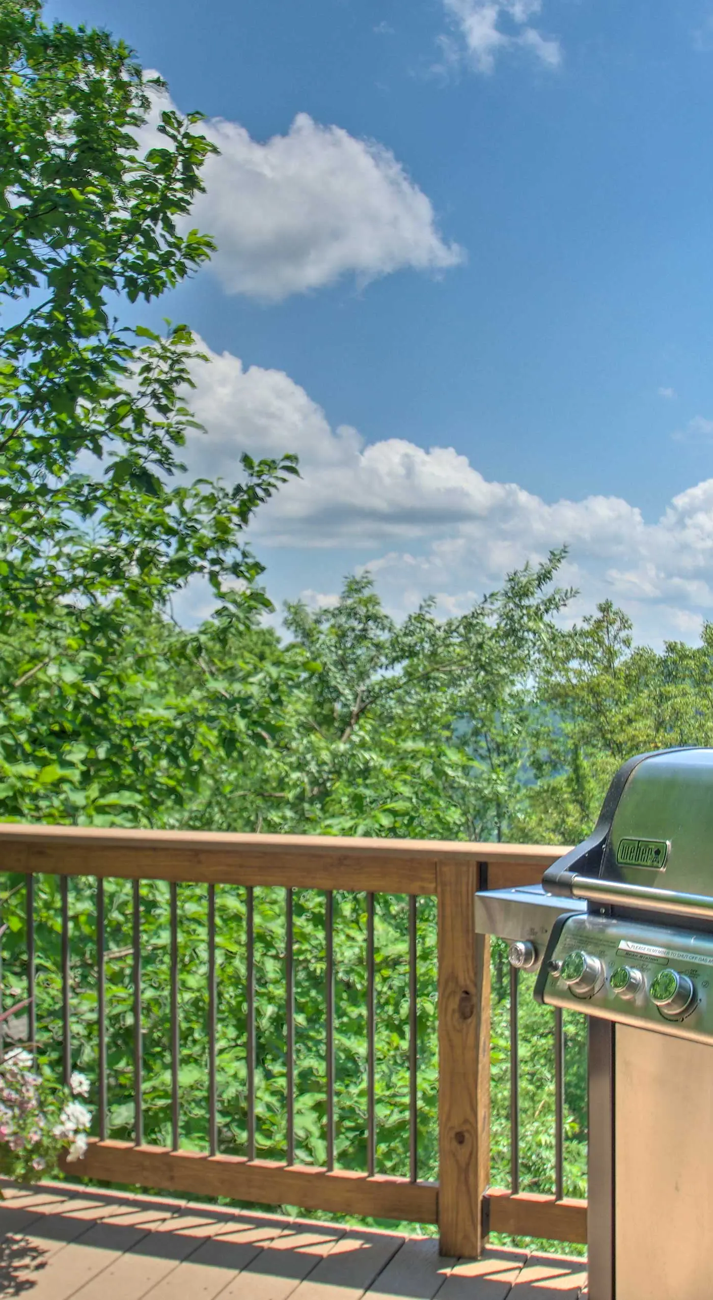 Grand Chalet w/ Hot Tub -  Near Wintergreen Resort