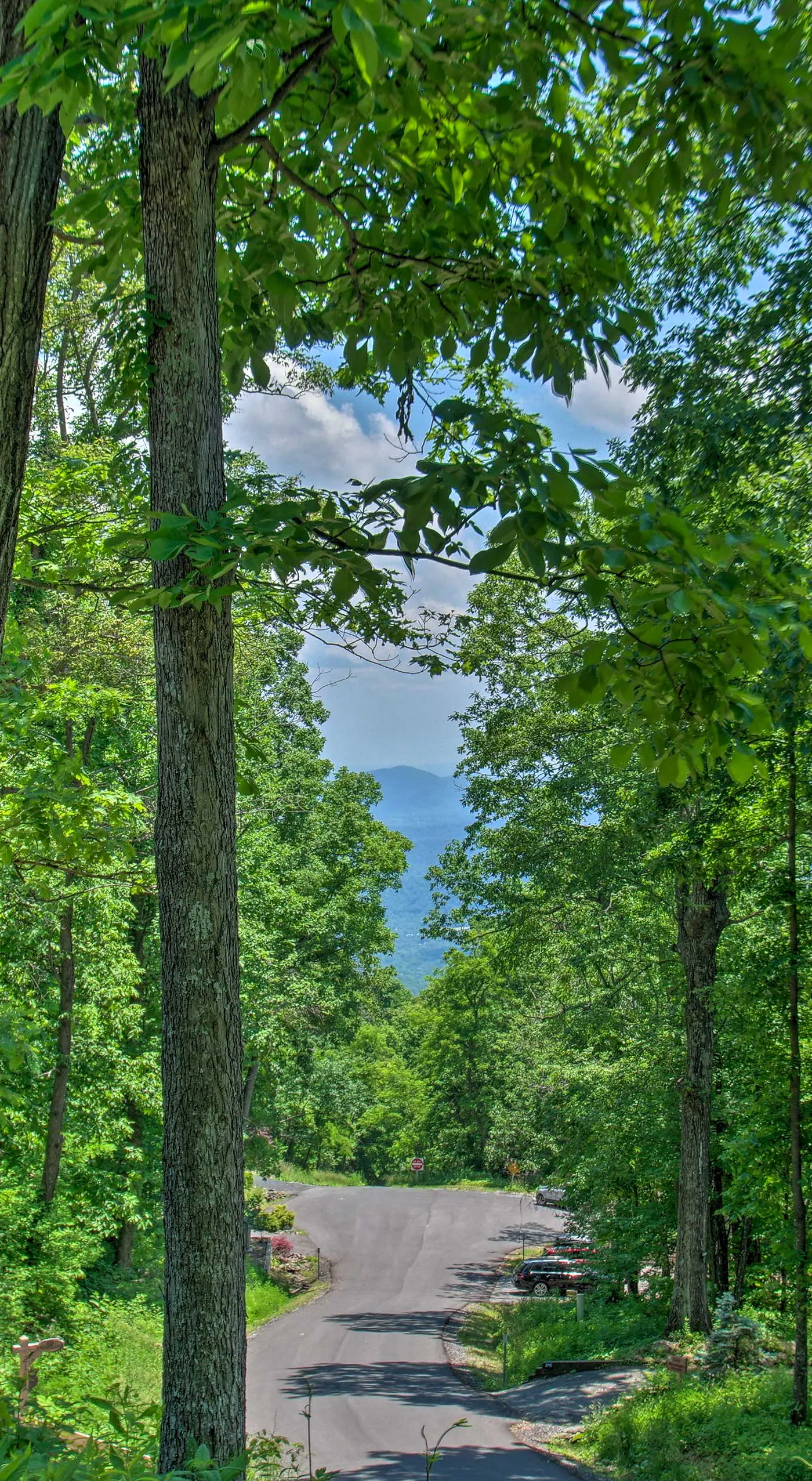 Grand Chalet w/ Hot Tub -  Near Wintergreen Resort