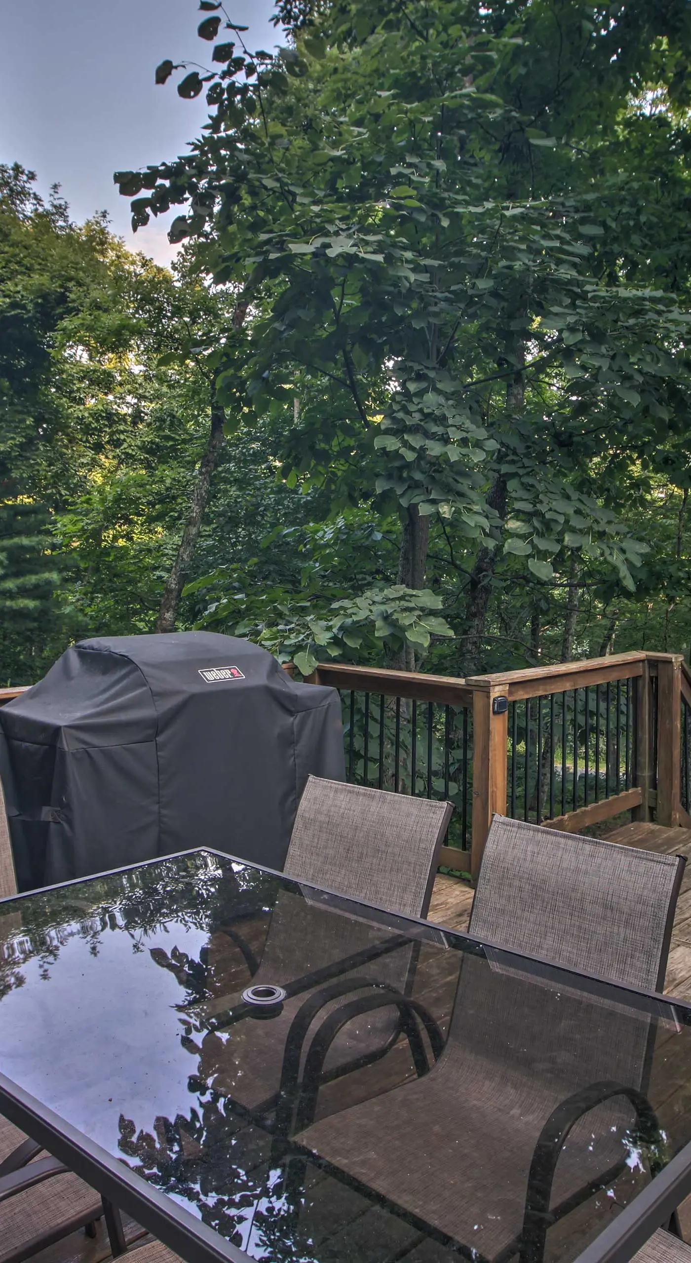 Cozy 'Hillside Hideaway' in Wintergreen Resort!