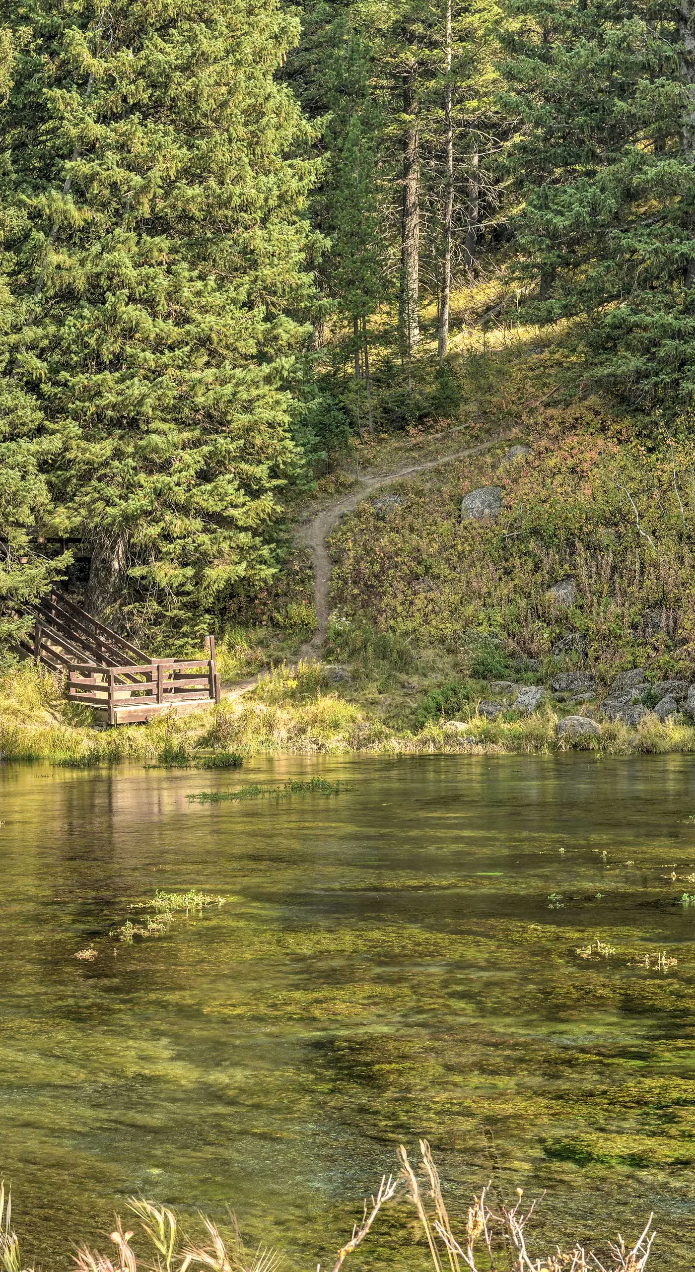 Family Cabin w/ Fire Pit - 25 Miles to Yellowstone