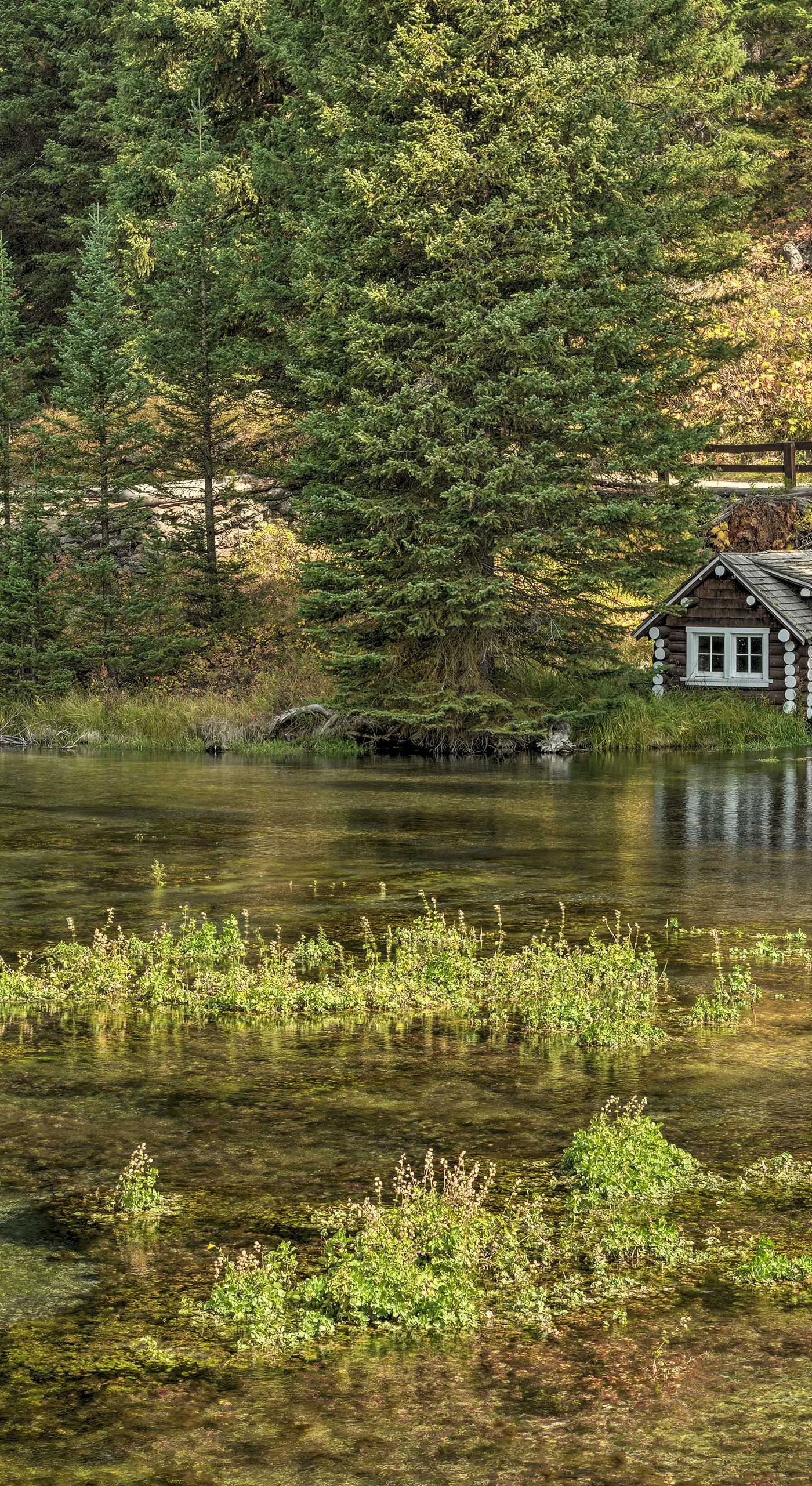 Family Cabin w/ Fire Pit - 25 Miles to Yellowstone