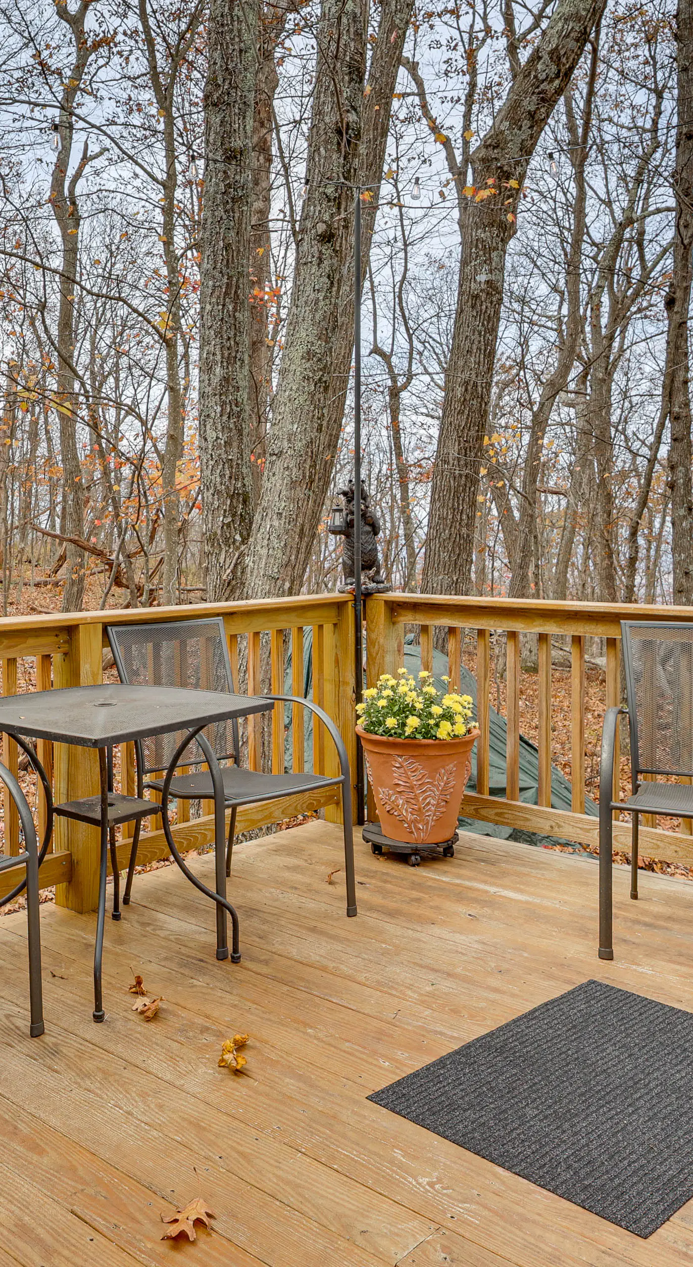 Grand Wintergreen Resort Home w/ Hot Tub!