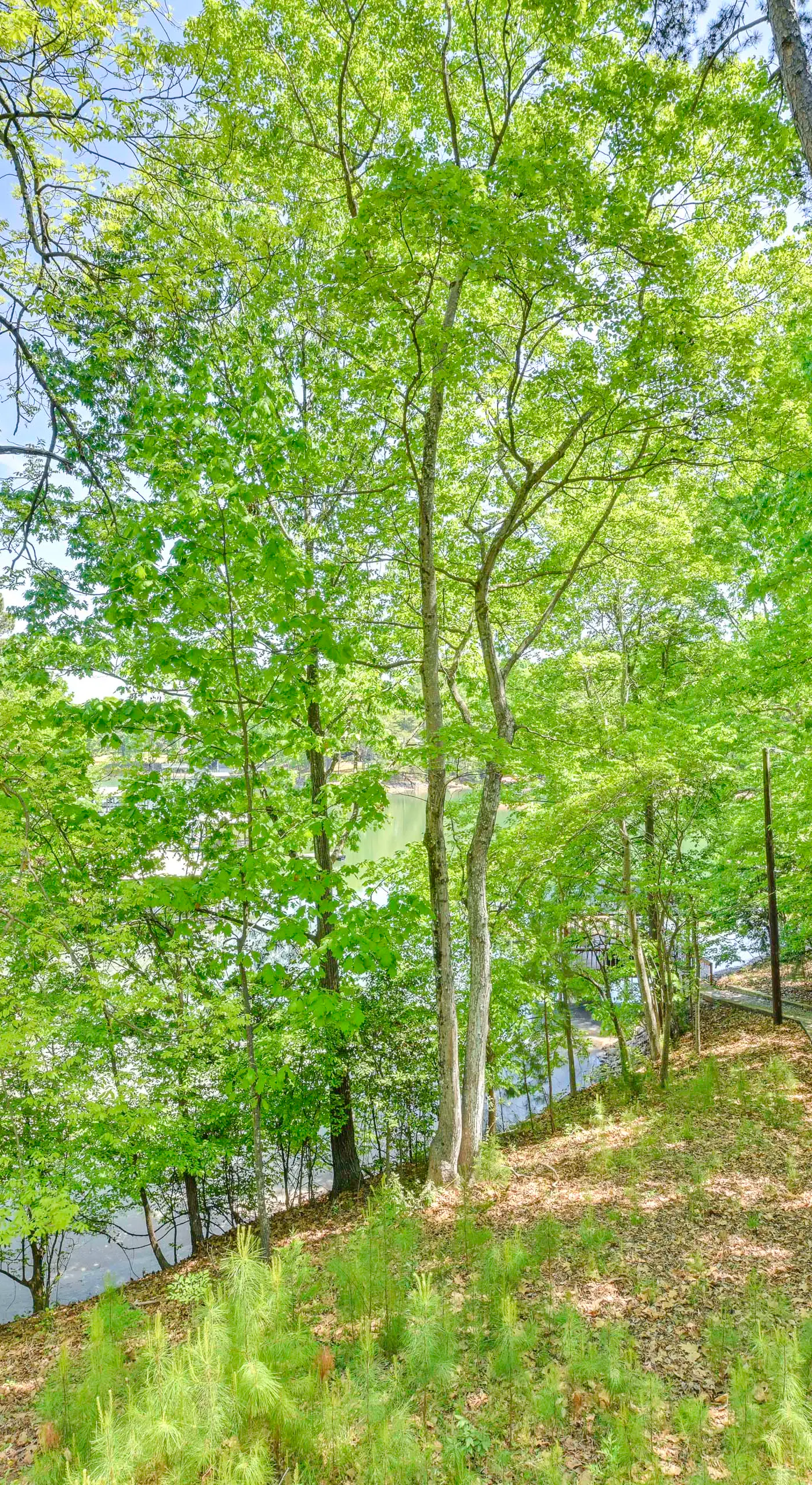 Dock & Pavilion! Lake Norman Retreat on Quiet Cove