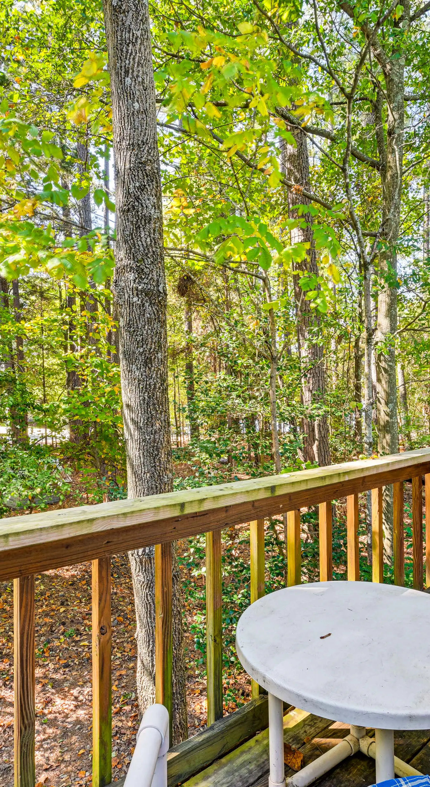 Private Dock & Beach! Lake Norman Cottage Hideaway