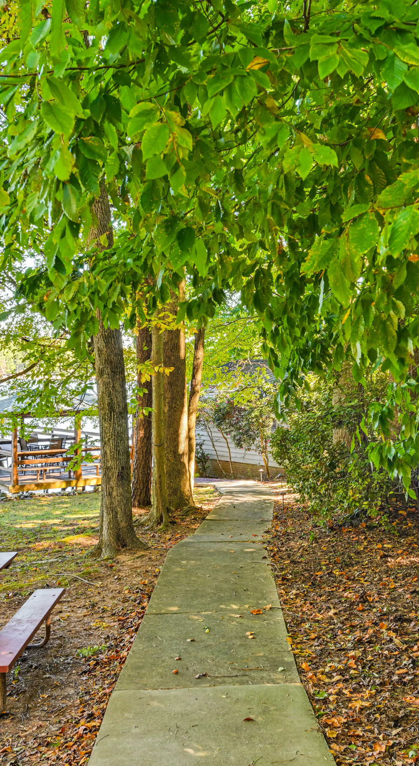 Private Dock & Beach! Lake Norman Cottage Hideaway