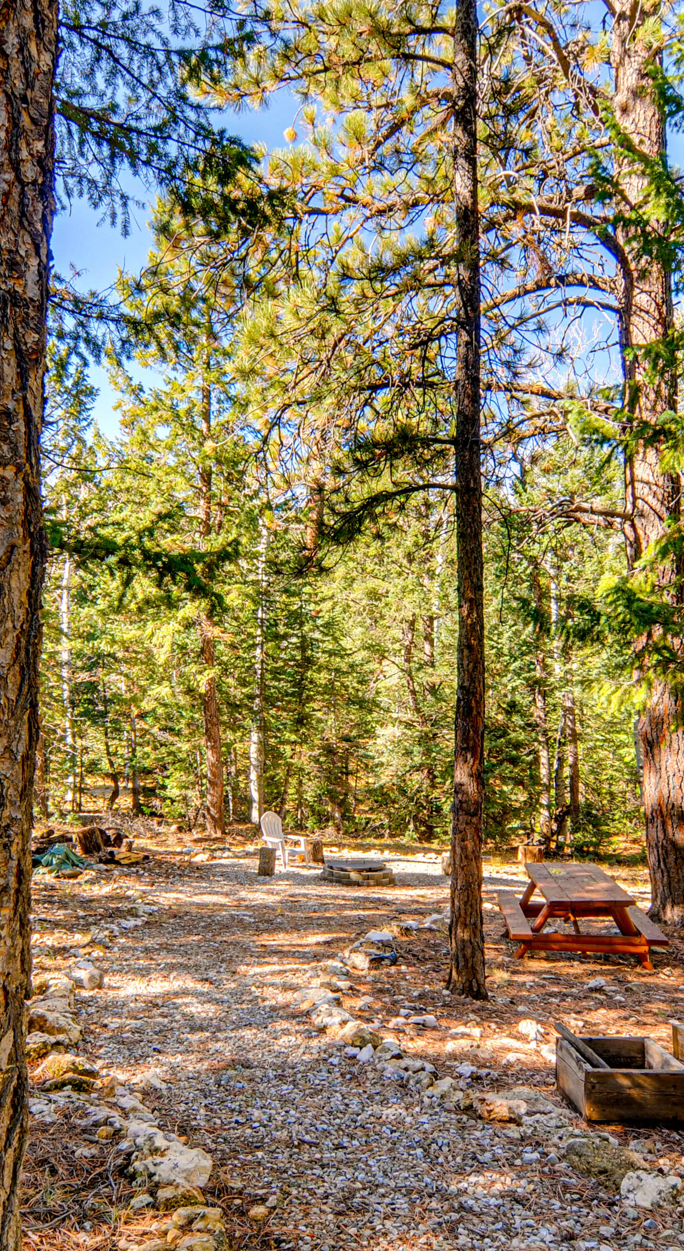 Near National Parks: Duck Creek Cabin Retreat