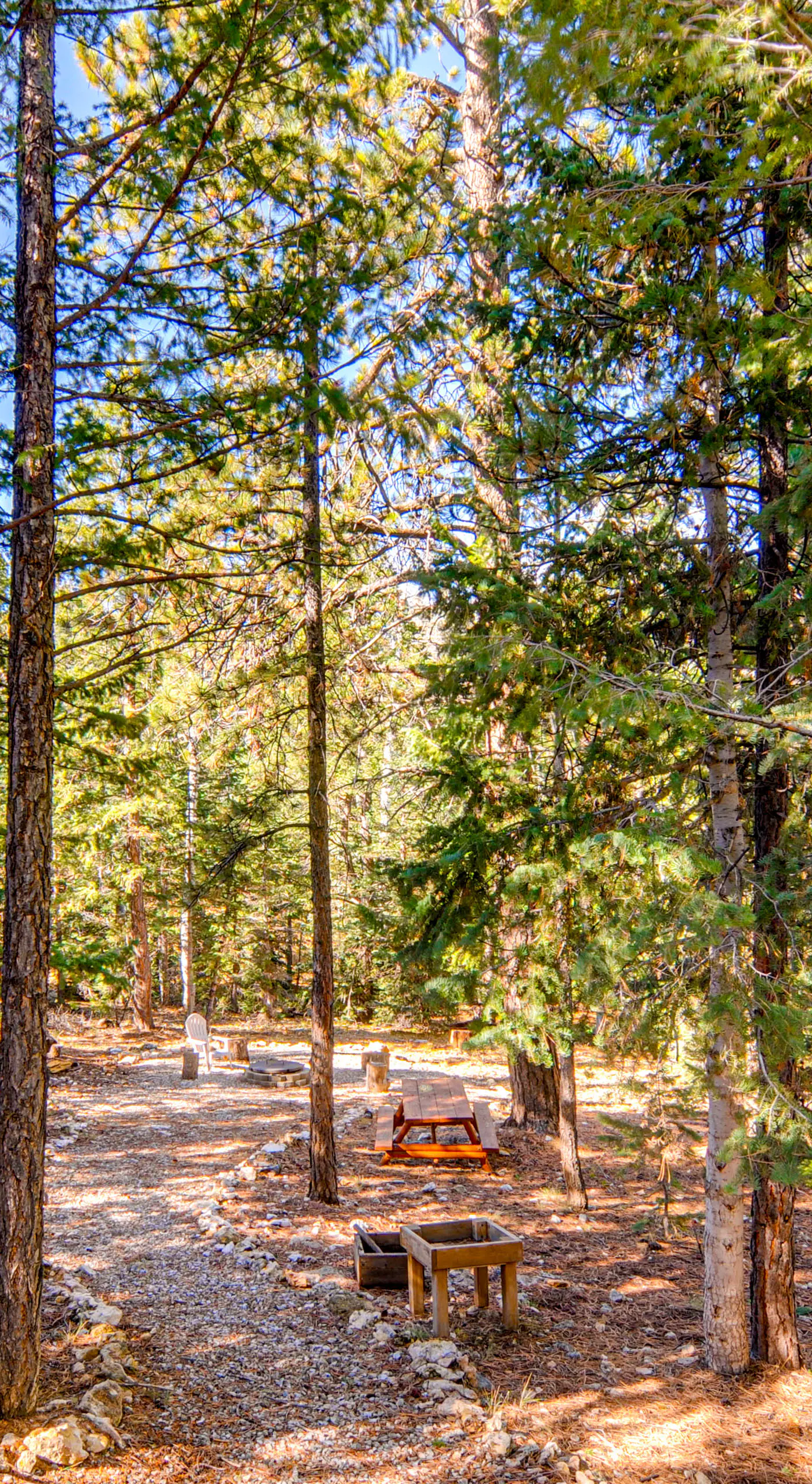 Near National Parks: Duck Creek Cabin Retreat