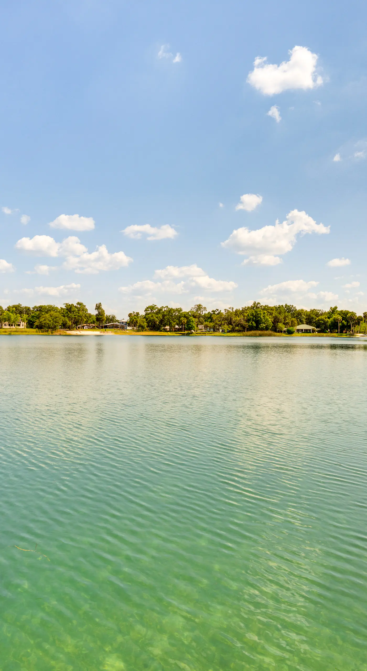 Artsy Bungalow on St Anne Lake: Pool, Dock & Deck