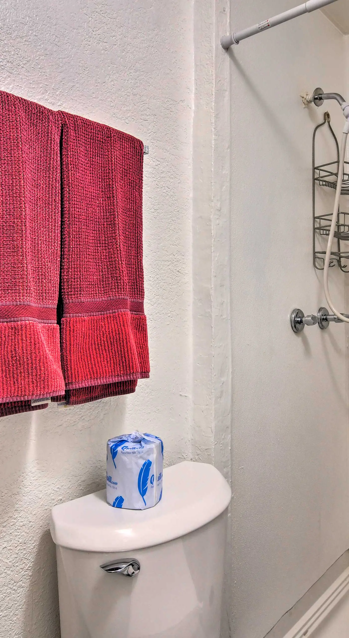 Vacation Rental Near Boyd Lake, Colorado!