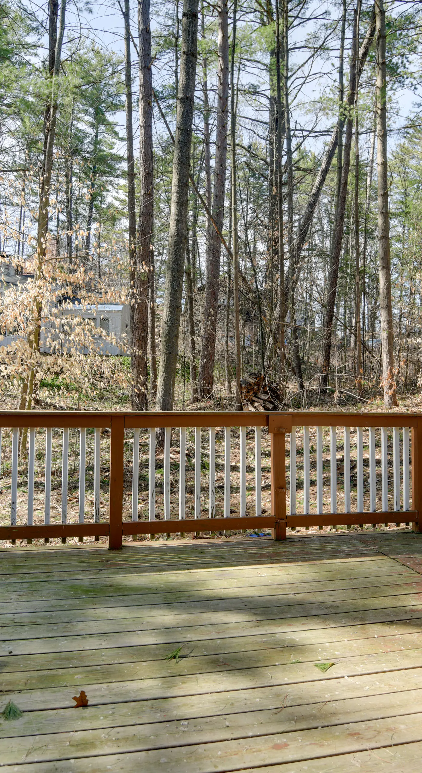 North Conway Home < Walk to Slopes at Cranmore!