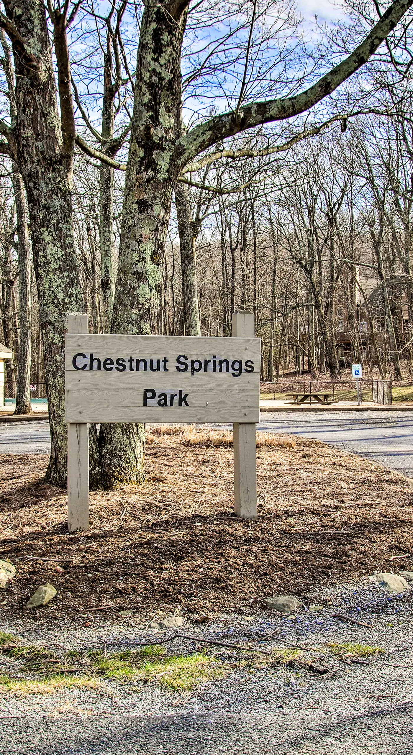All-Season Fun! Wintergreen Resort Condo w/ Views