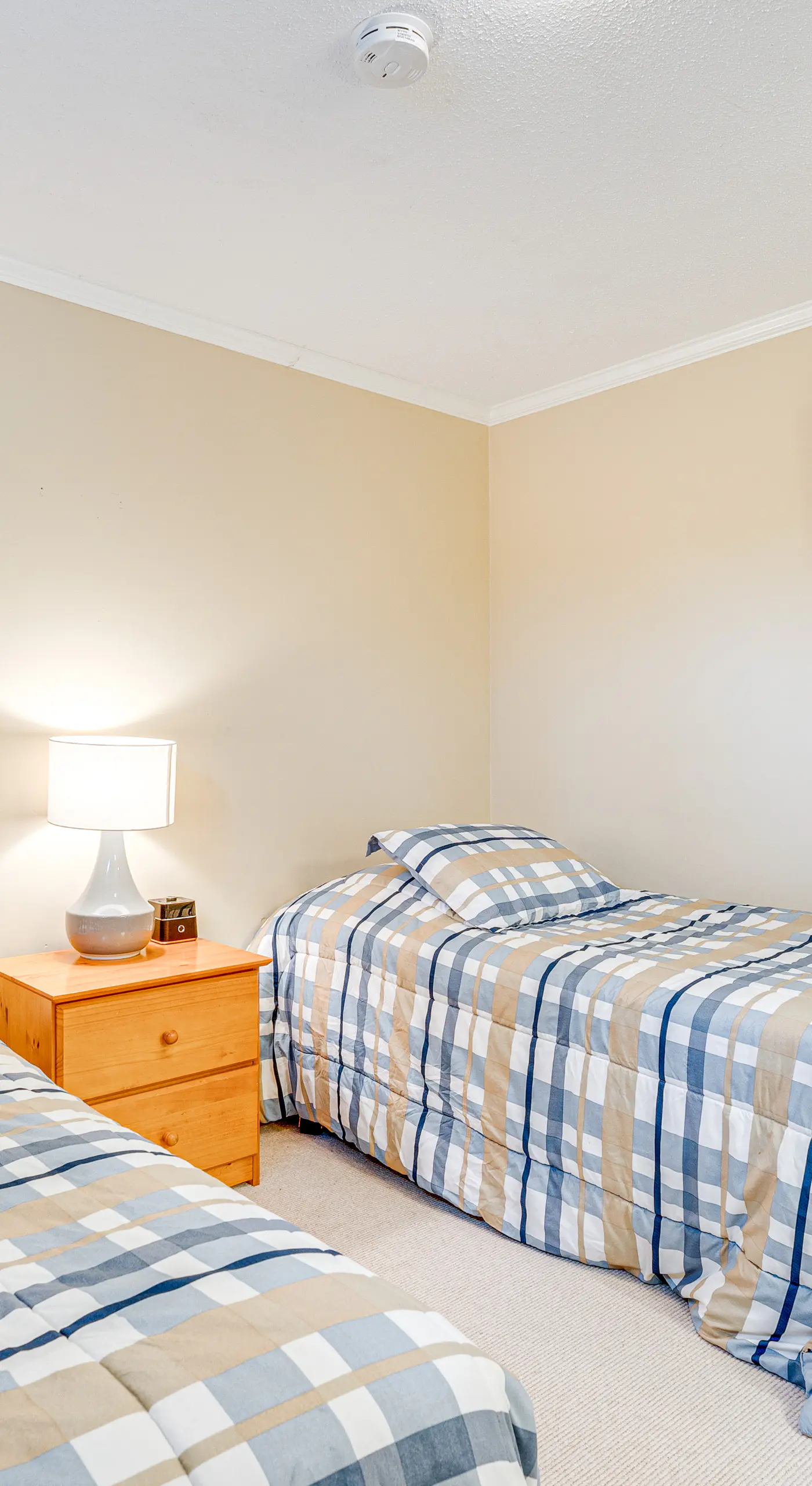 Renovated Ski-In/Ski-Out Peru Condo at Bromley Mtn