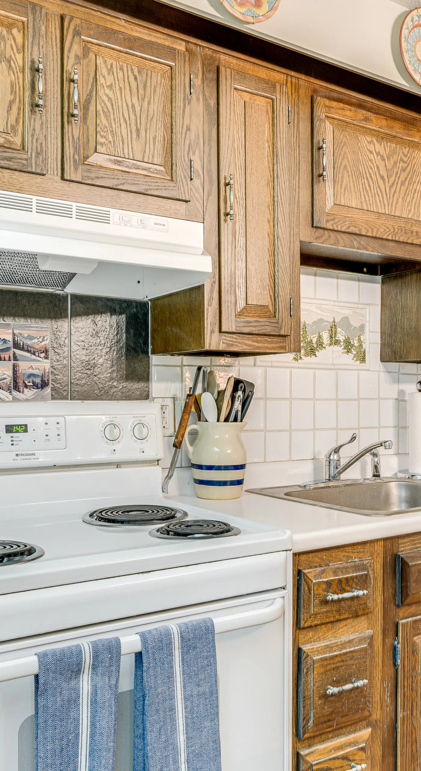 Renovated Ski-In/Ski-Out Peru Condo at Bromley Mtn