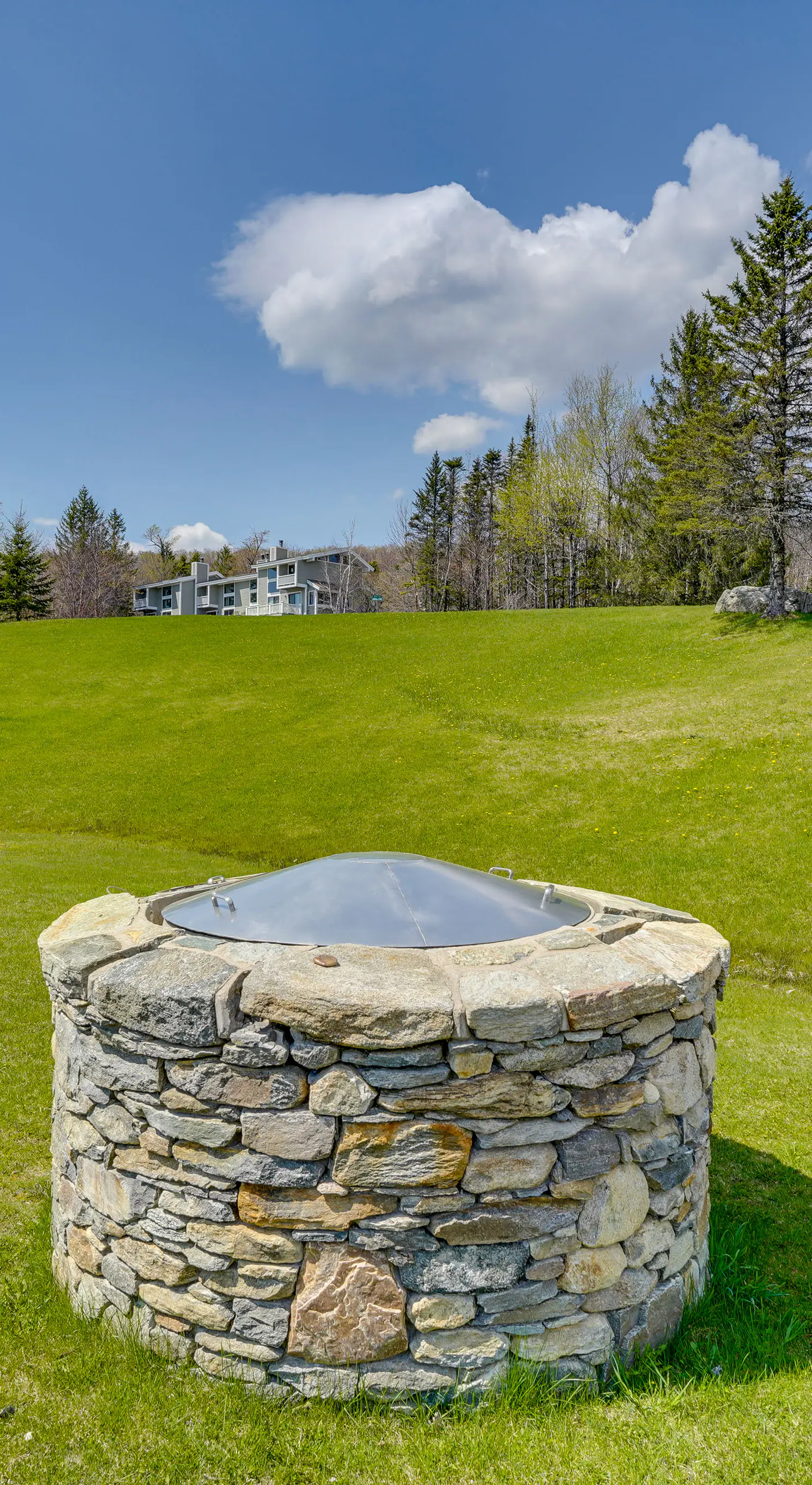 Ski-In/Ski-Out Bromley Mtn Condo: Wood Fireplace!