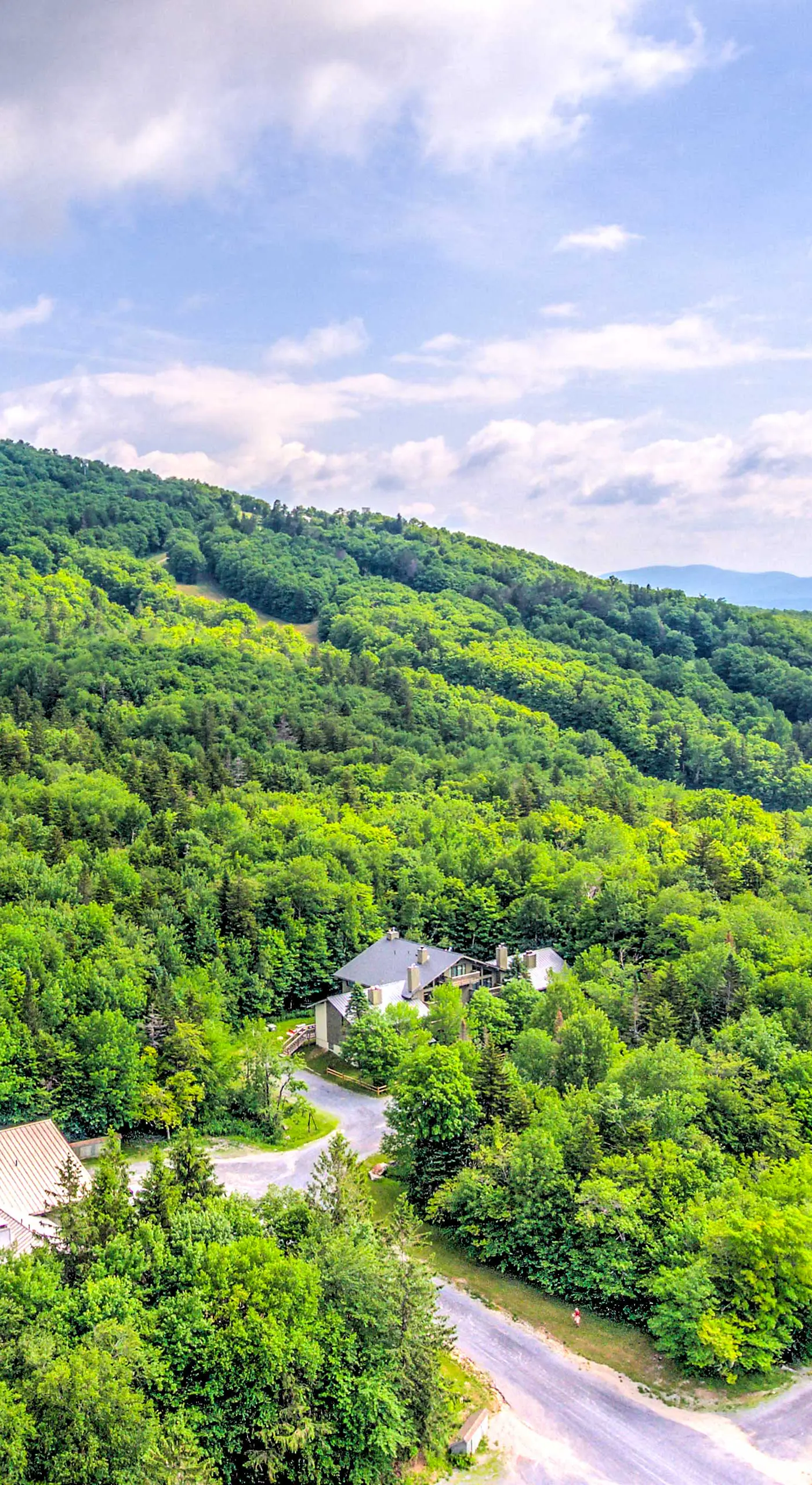 Ski-In/Ski-Out Bromley Mtn Condo: Wood Fireplace!