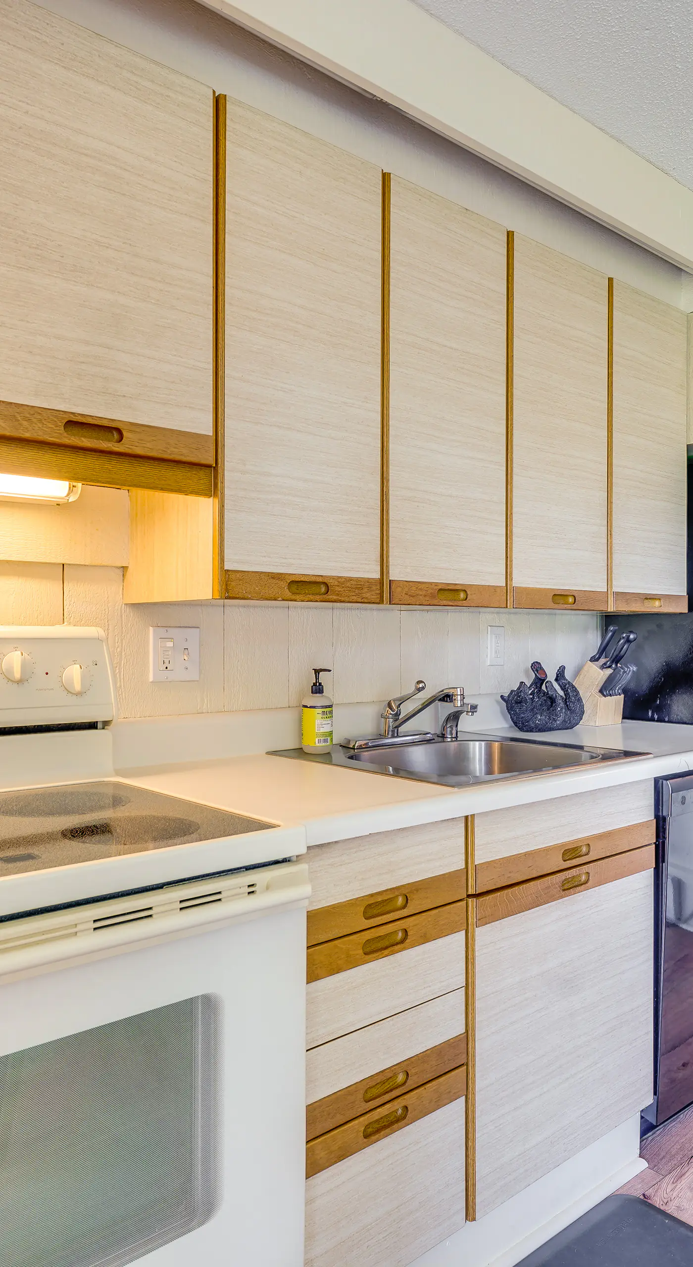 Ski-In/Ski-Out Bromley Mtn Condo: Wood Fireplace!