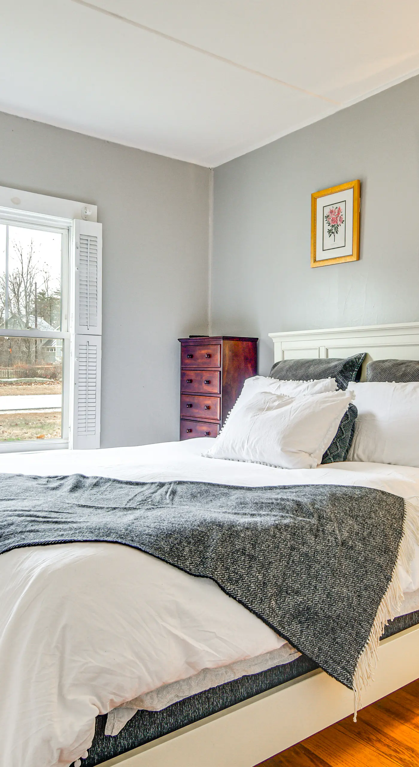 Ski, Hike & Fish: Dog-Friendly Gem in Conway