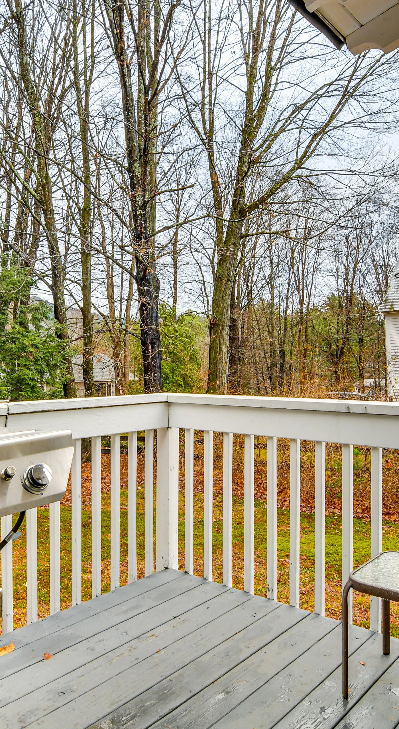 Ski, Hike & Fish: Dog-Friendly Gem in Conway