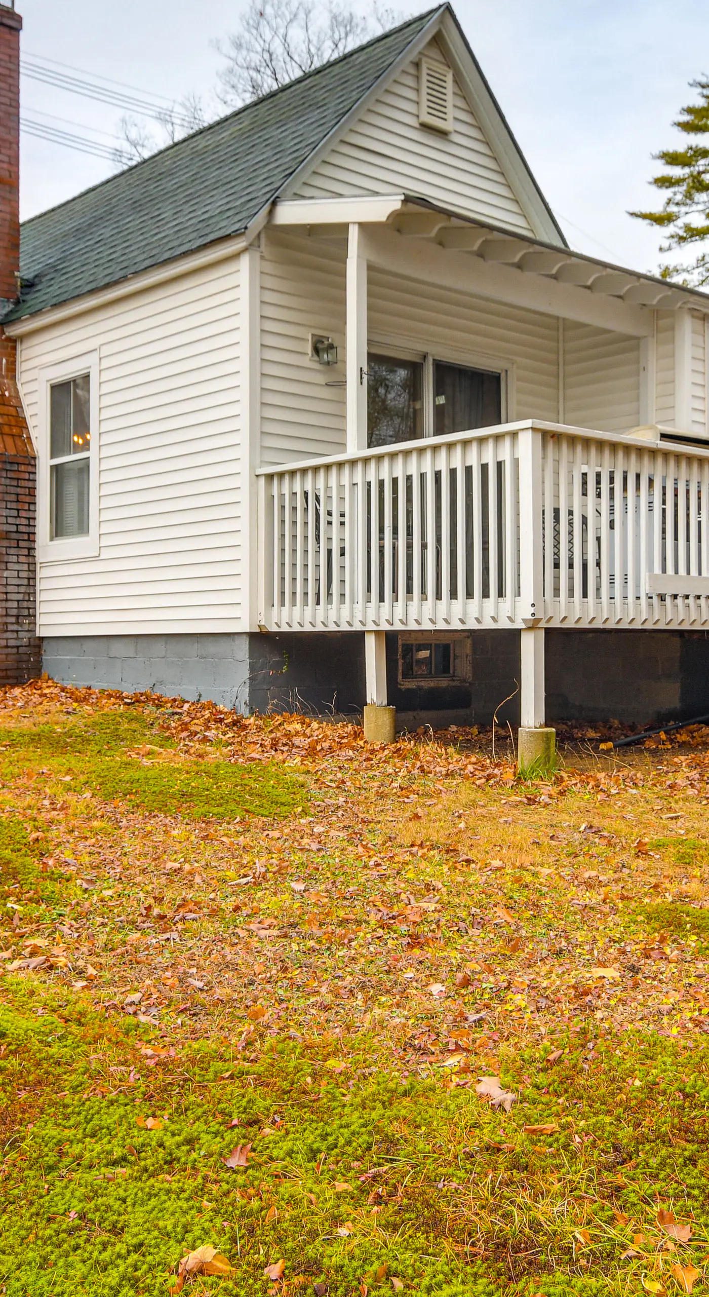 Ski, Hike & Fish: Dog-Friendly Gem in Conway