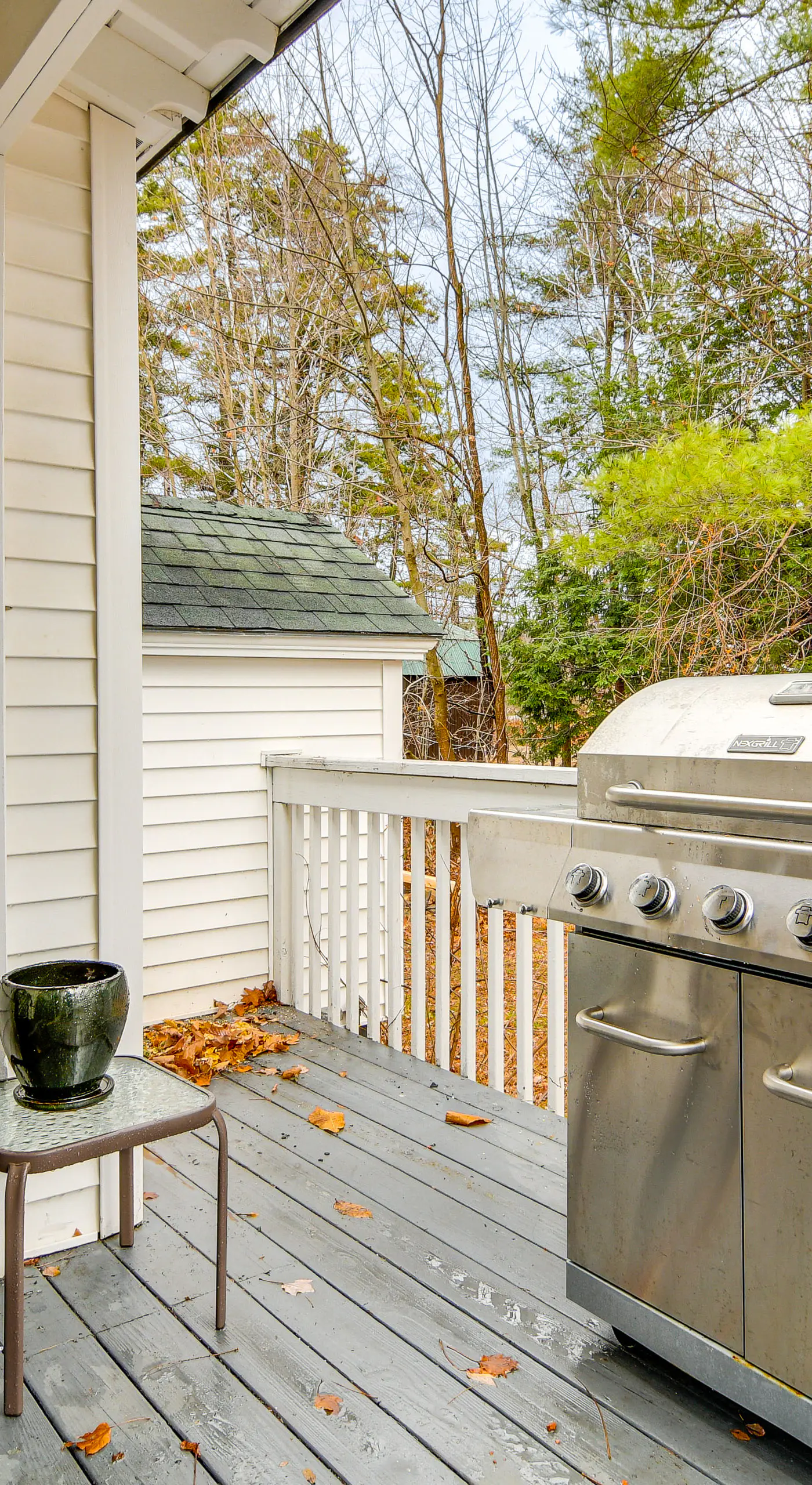 Ski, Hike & Fish: Dog-Friendly Gem in Conway