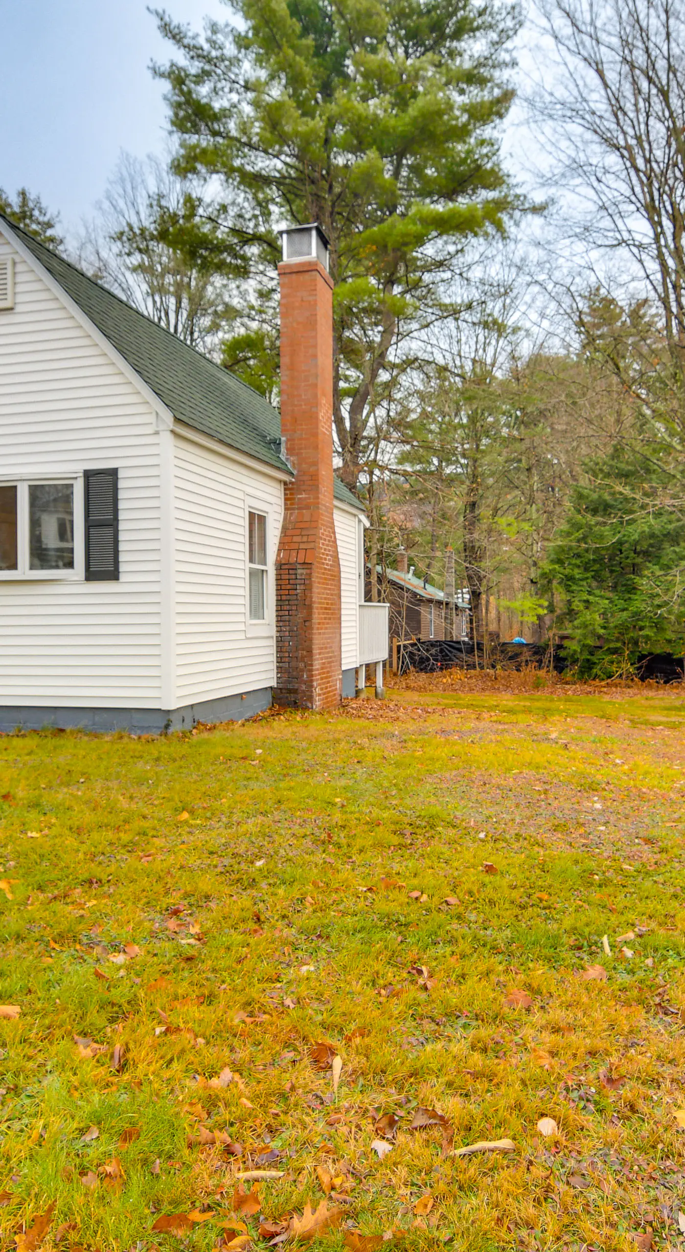 Ski, Hike & Fish: Dog-Friendly Gem in Conway