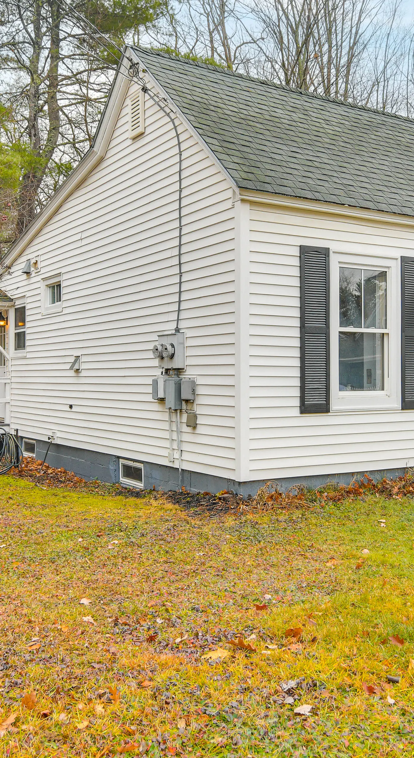 Ski, Hike & Fish: Dog-Friendly Gem in Conway