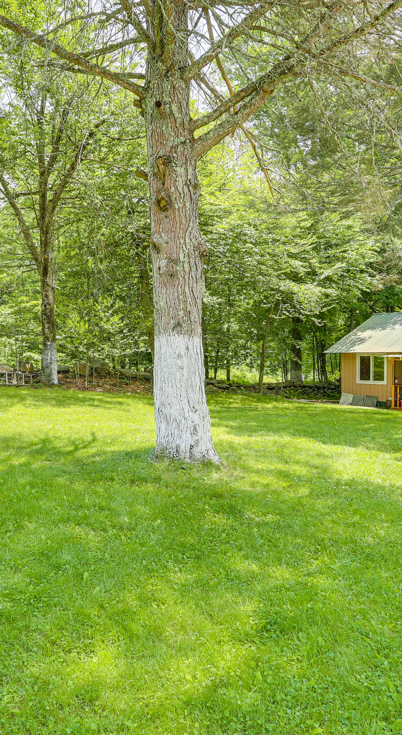 6 Mi to Bethel Woods Center: Cabin Near Shops