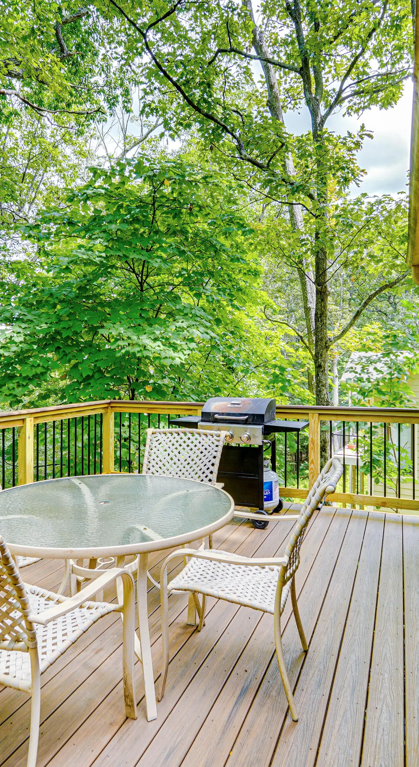 Wintergreen Resort Home w/ 2 Decks + Ski Access!