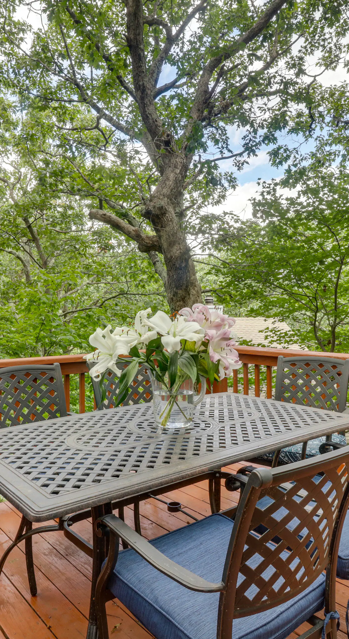 Wintergreen Home w/ Hot Tub, Deck & Mountain Views
