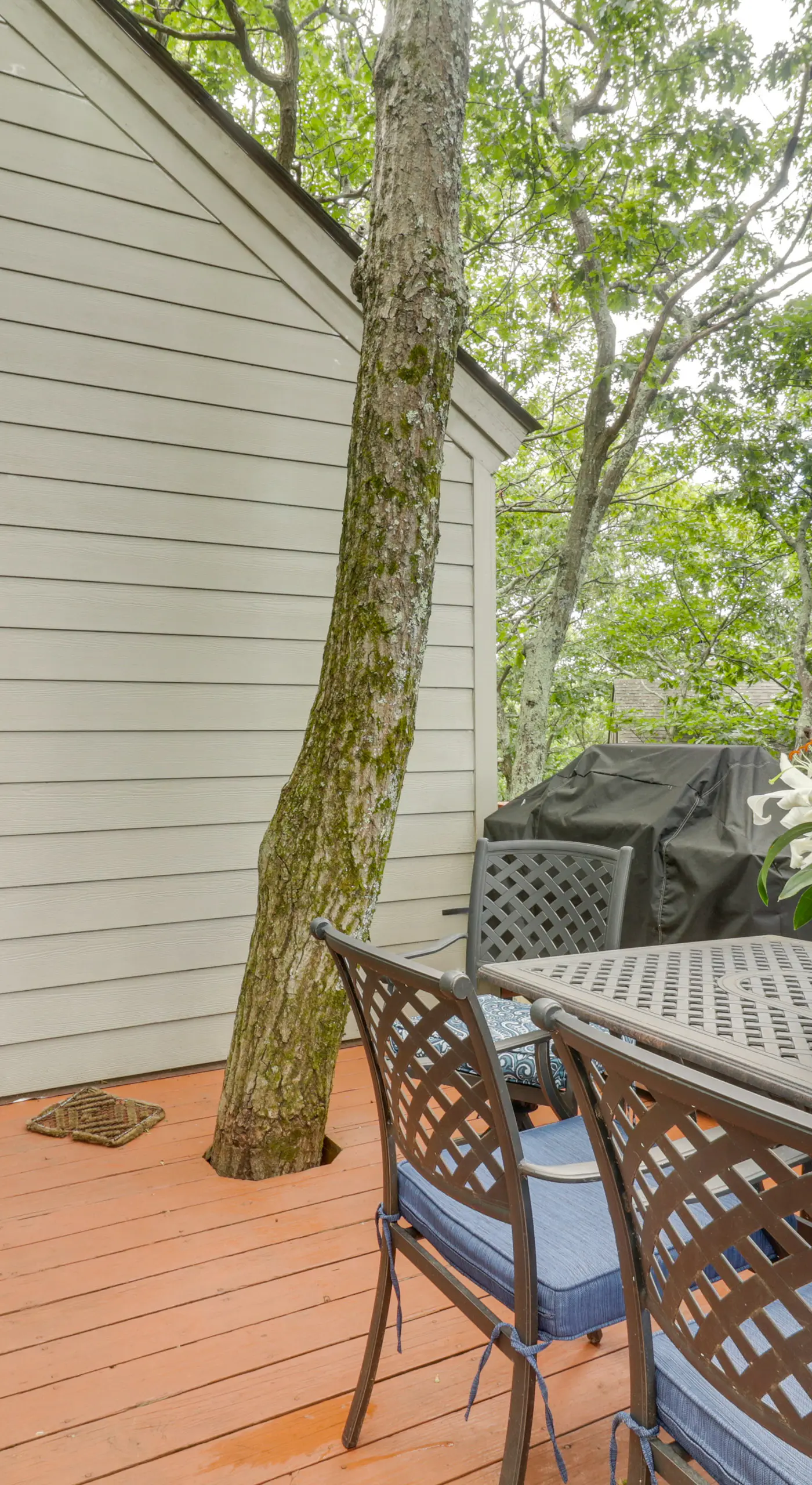 Wintergreen Home w/ Hot Tub, Deck & Mountain Views