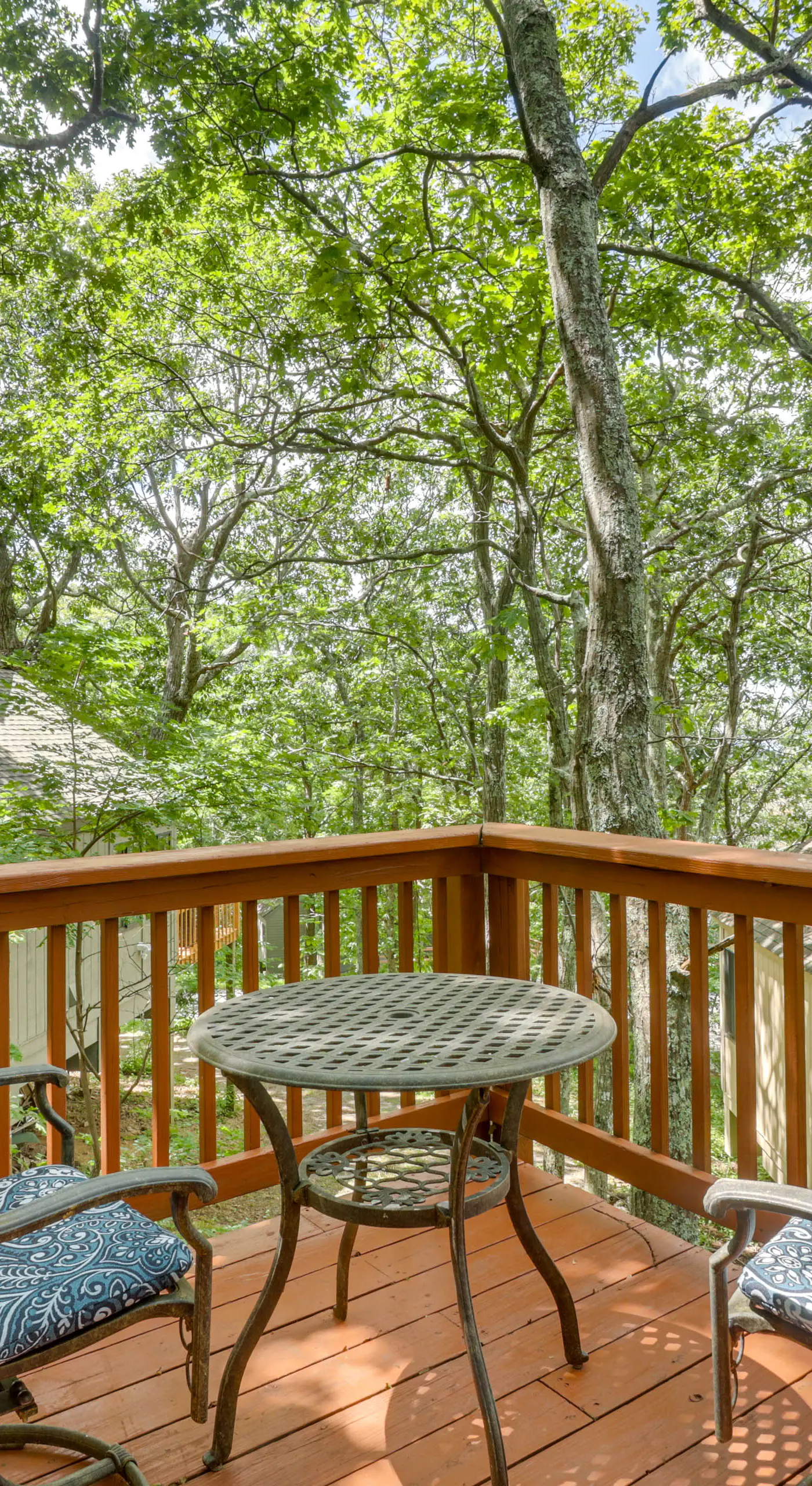 Wintergreen Home w/ Hot Tub, Deck & Mountain Views