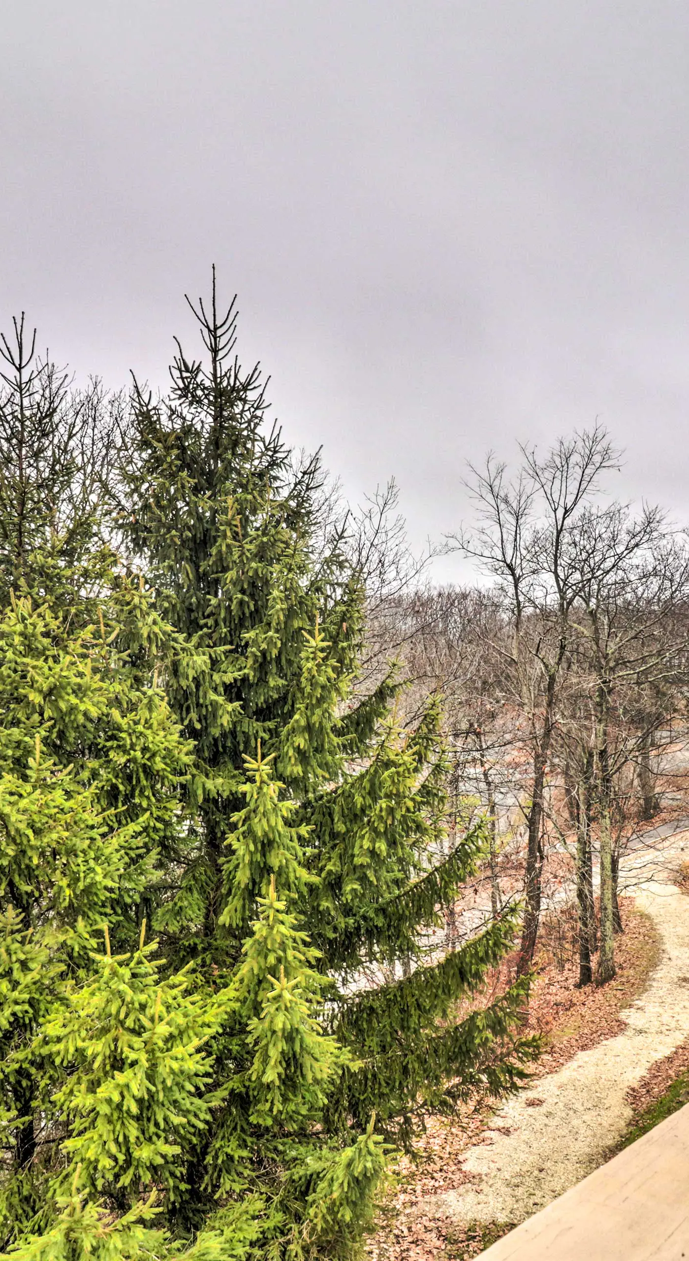 Wintergreen Resort Retreat w/ Skiing Access!