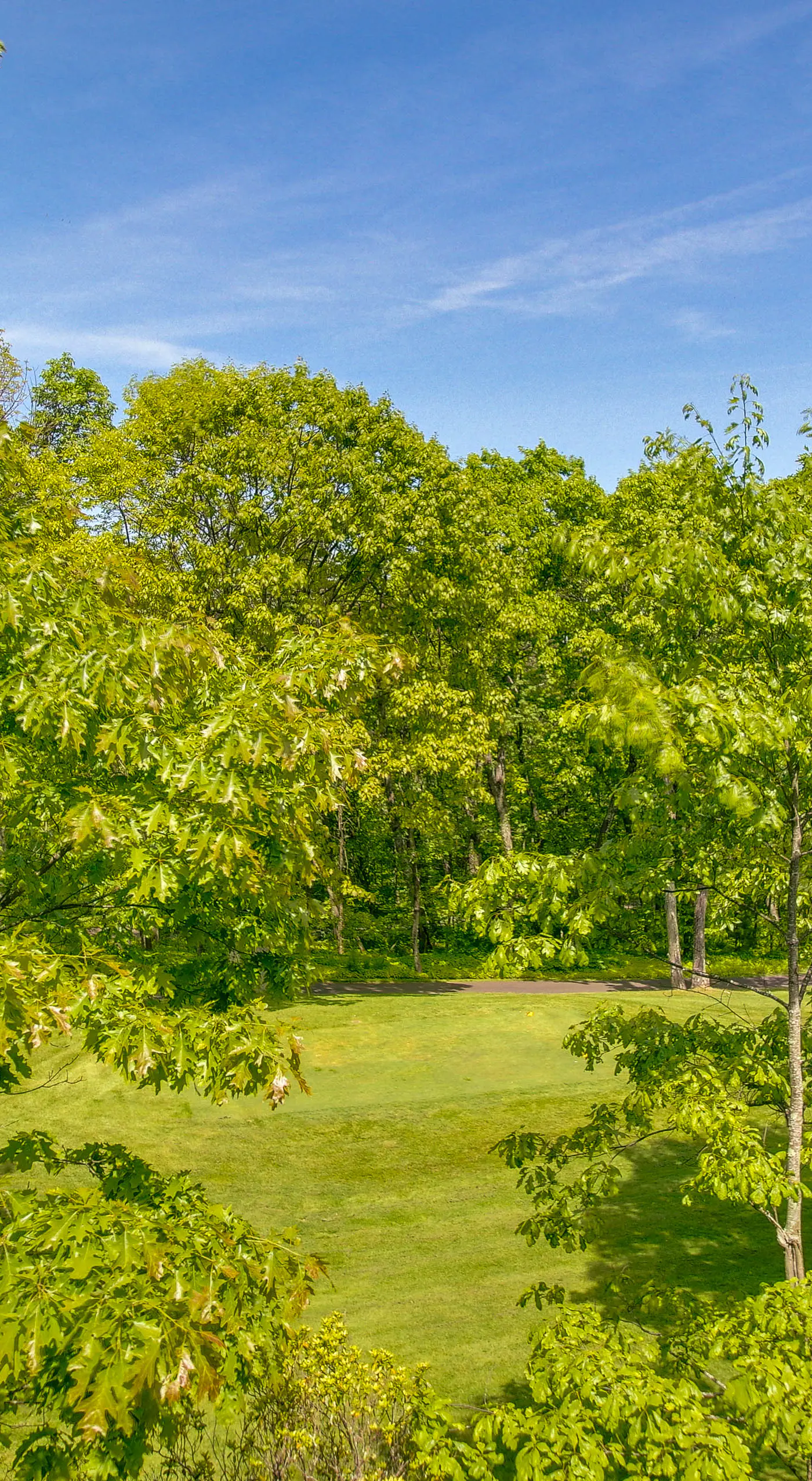 Wintergreen Resort Vacation Rental w/ Pool Access!