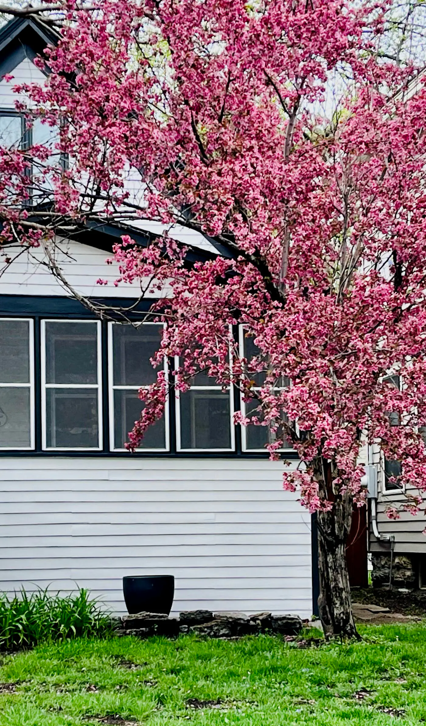 Saint Paul Vacation Rental Near Shopping & Dining!