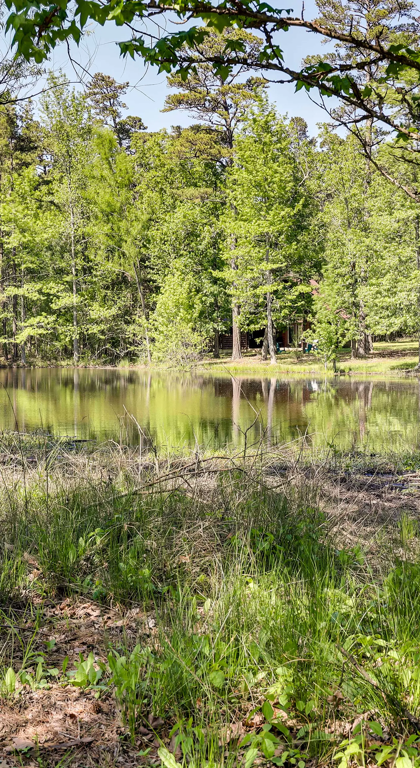 Pet-Friendly Broken Bow Cabin w/ Fire Pit!