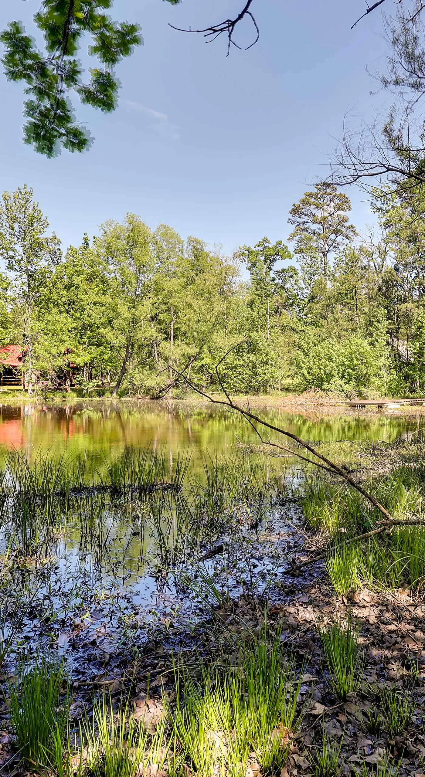 Pet-Friendly Broken Bow Cabin w/ Fire Pit!