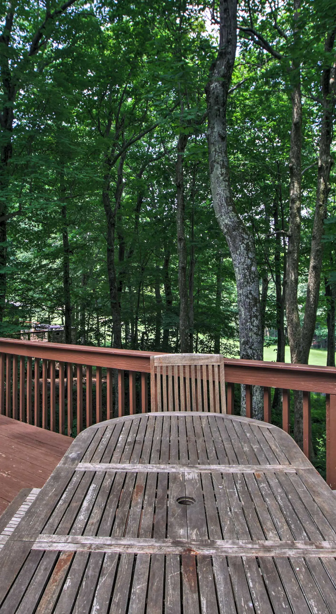 Bright Wintergreen Resort Home; Deck & Grill!