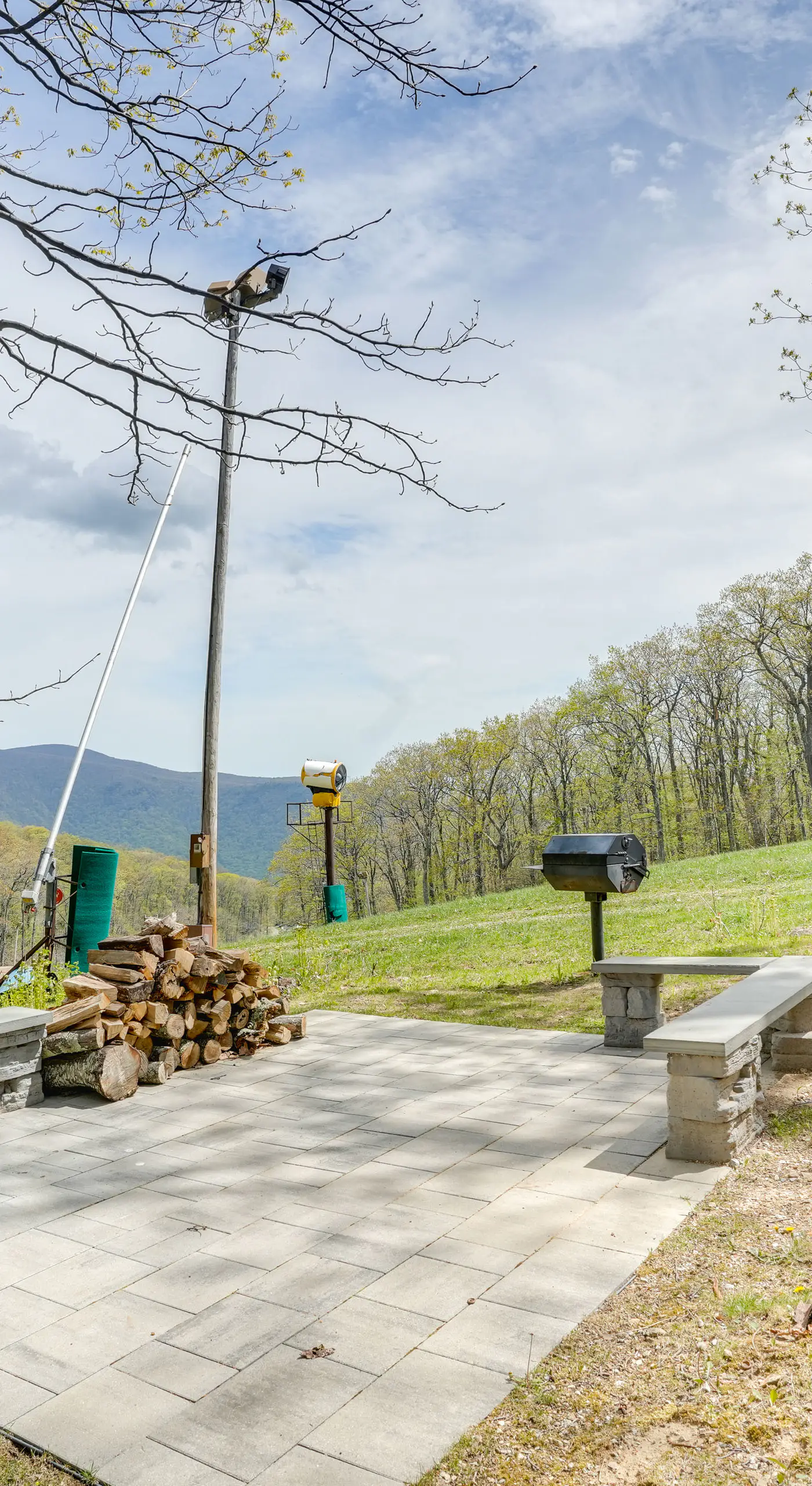 Ski-In/Ski-Out Wintergreen Resort Condo + Hot Tub!
