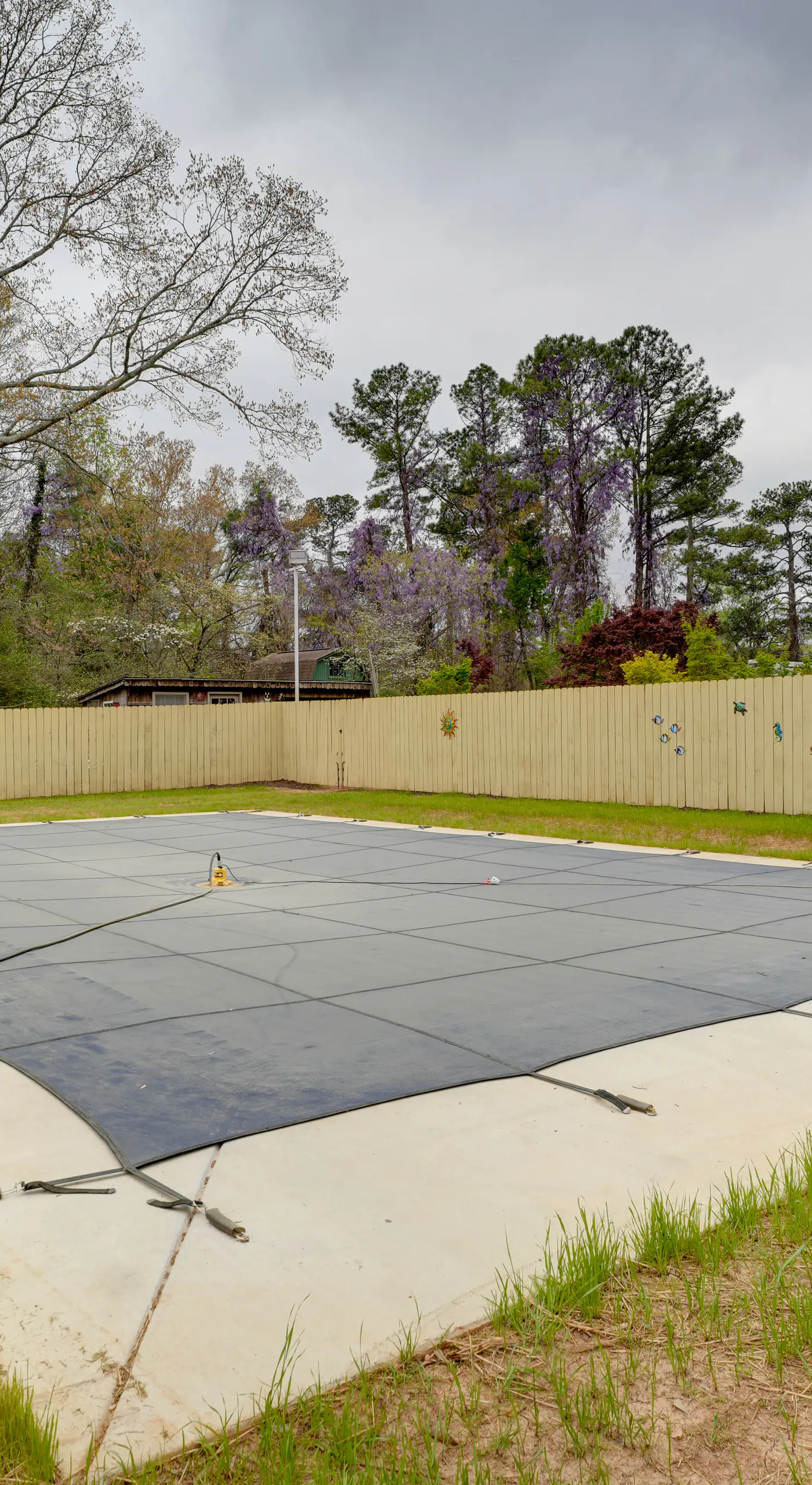 Pool + Basketball Court: Smyrna Family Home + Yard