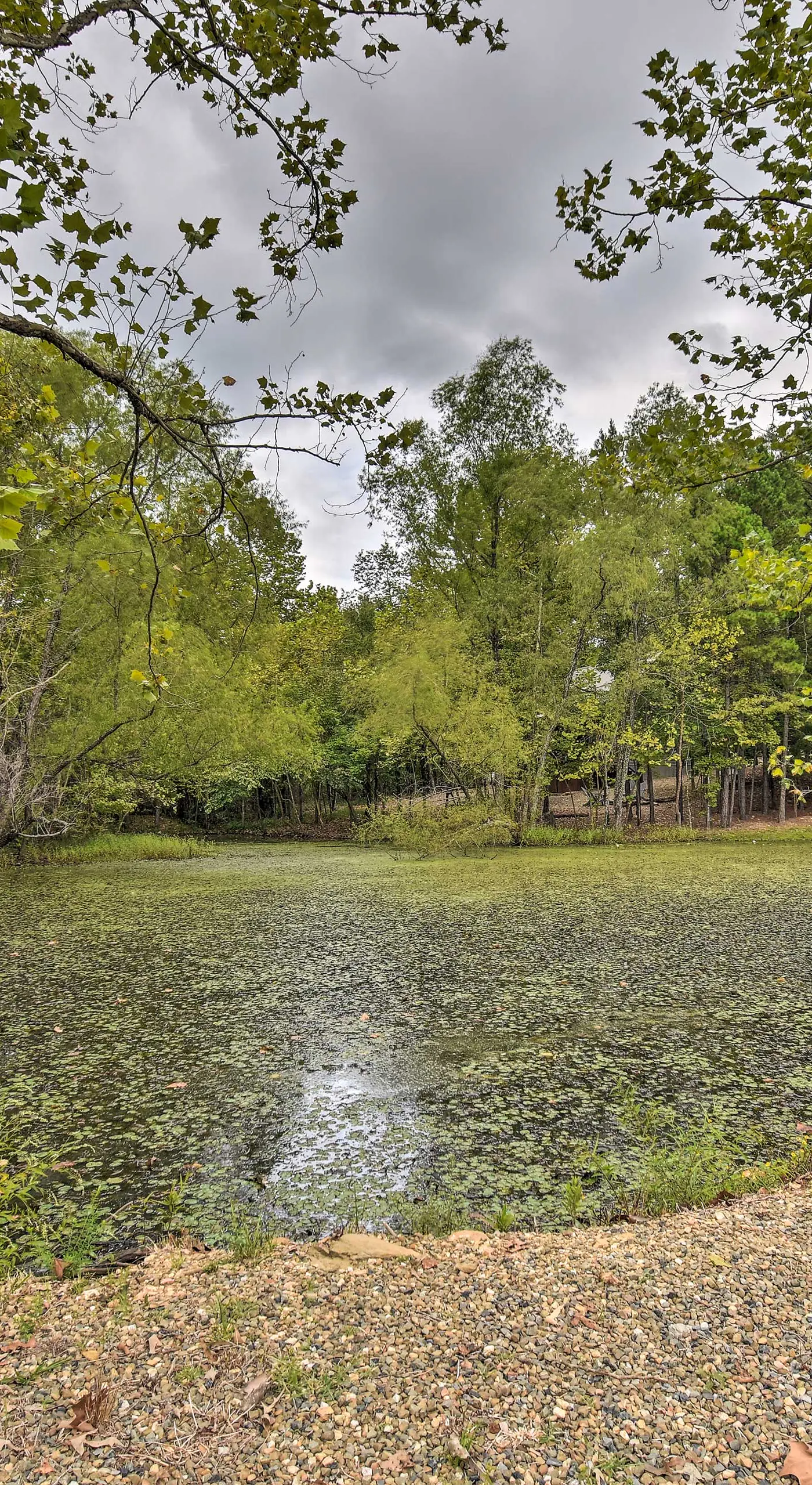 ‘Lily Pad on the Pond’ Broken Bow Home w/ Hot Tub