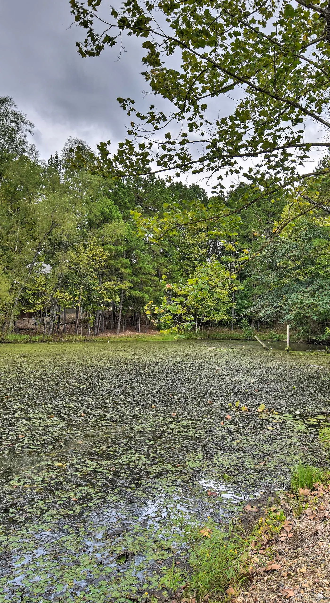 ‘Lily Pad on the Pond’ Broken Bow Home w/ Hot Tub
