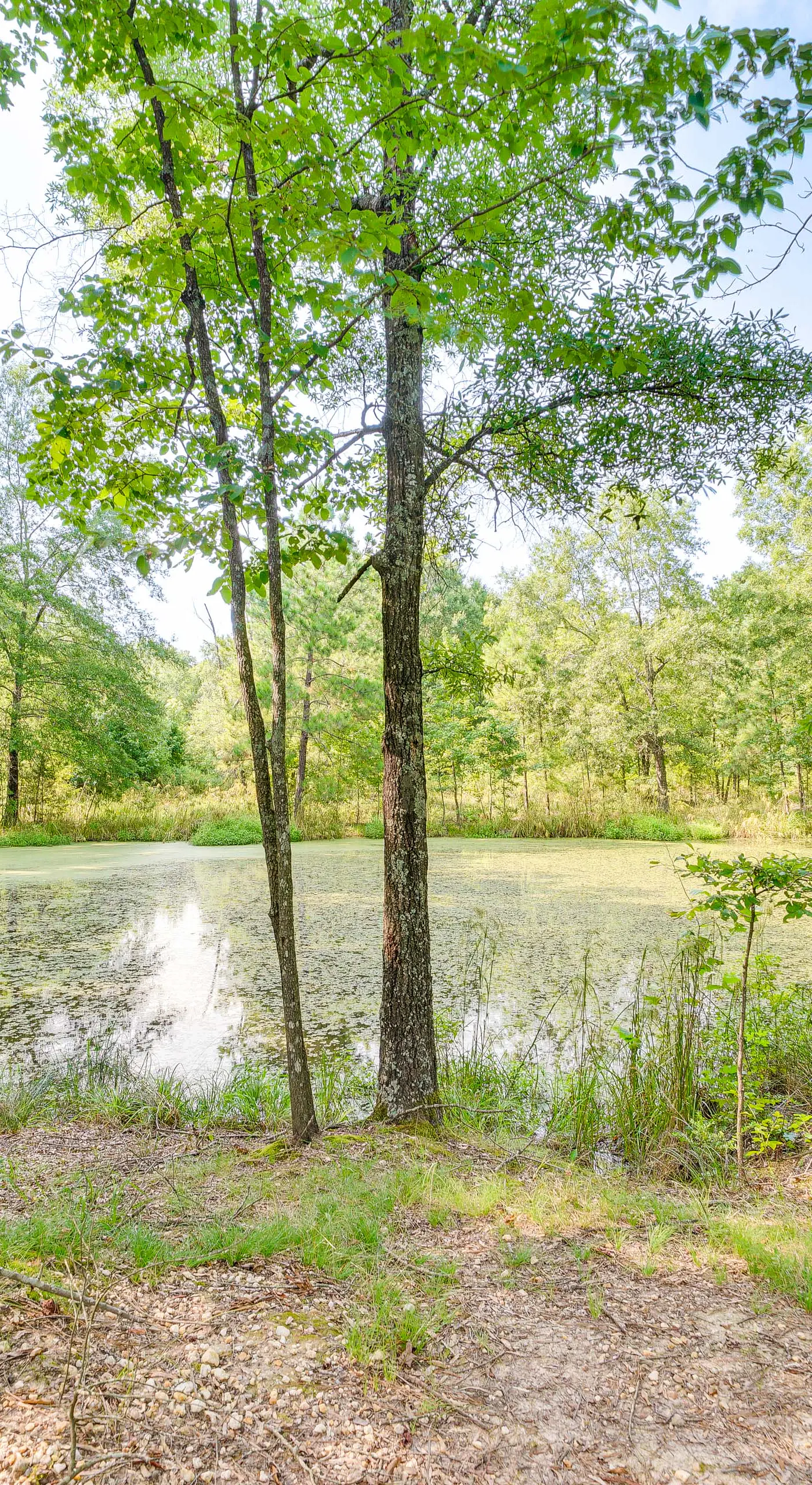 Couple’s Cabin in Broken Bow ~ 5 Mi to Downtown!