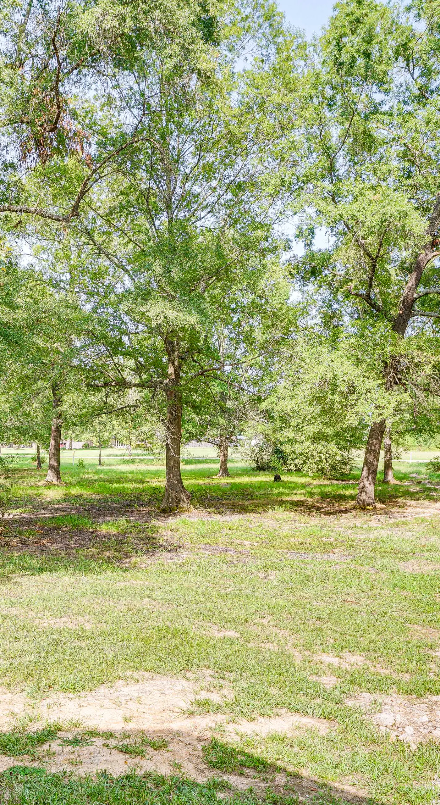 Couple’s Cabin in Broken Bow ~ 5 Mi to Downtown!