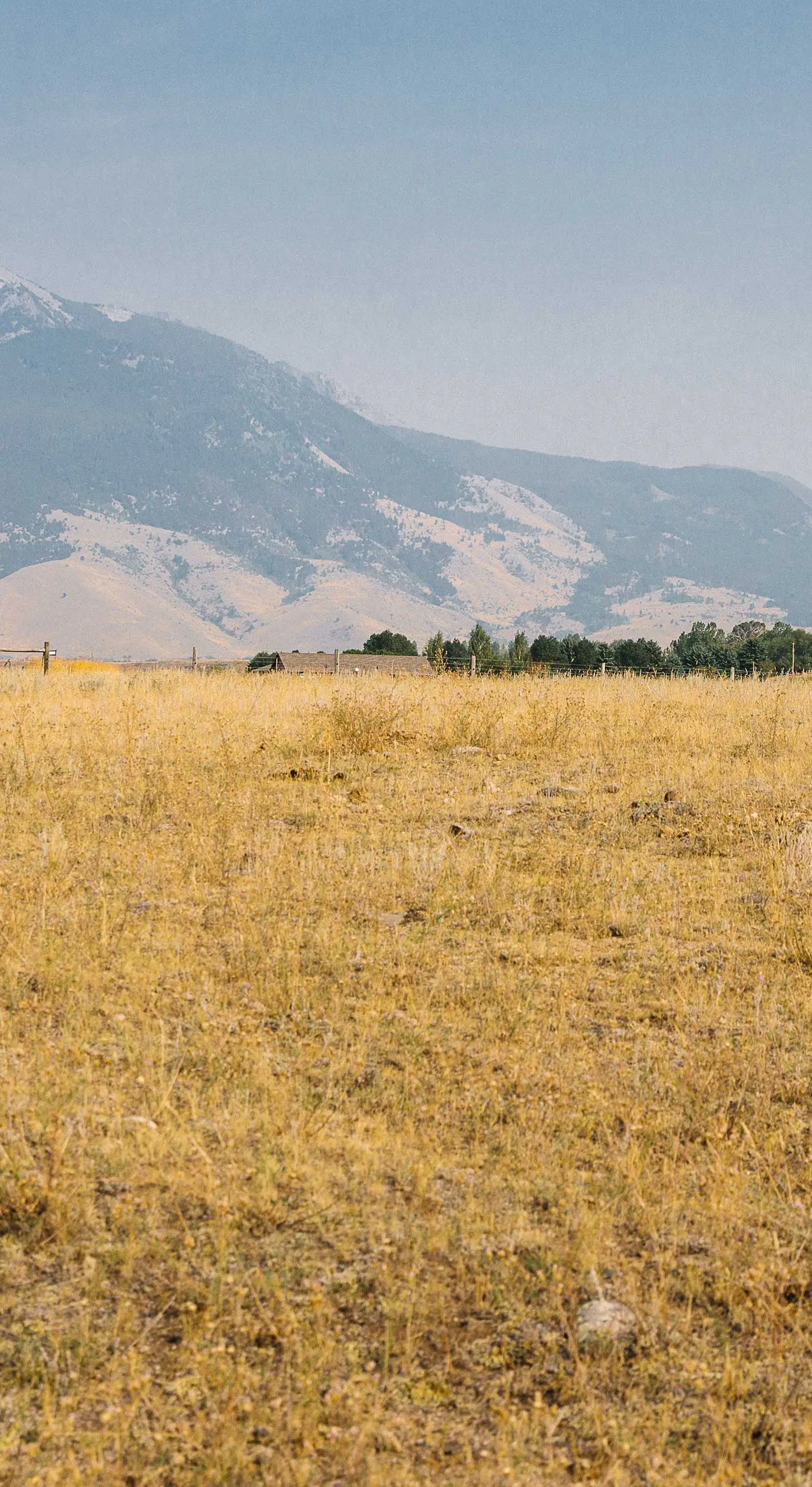 Paradise Valley Cabin by Chico & Yellowstone Park!