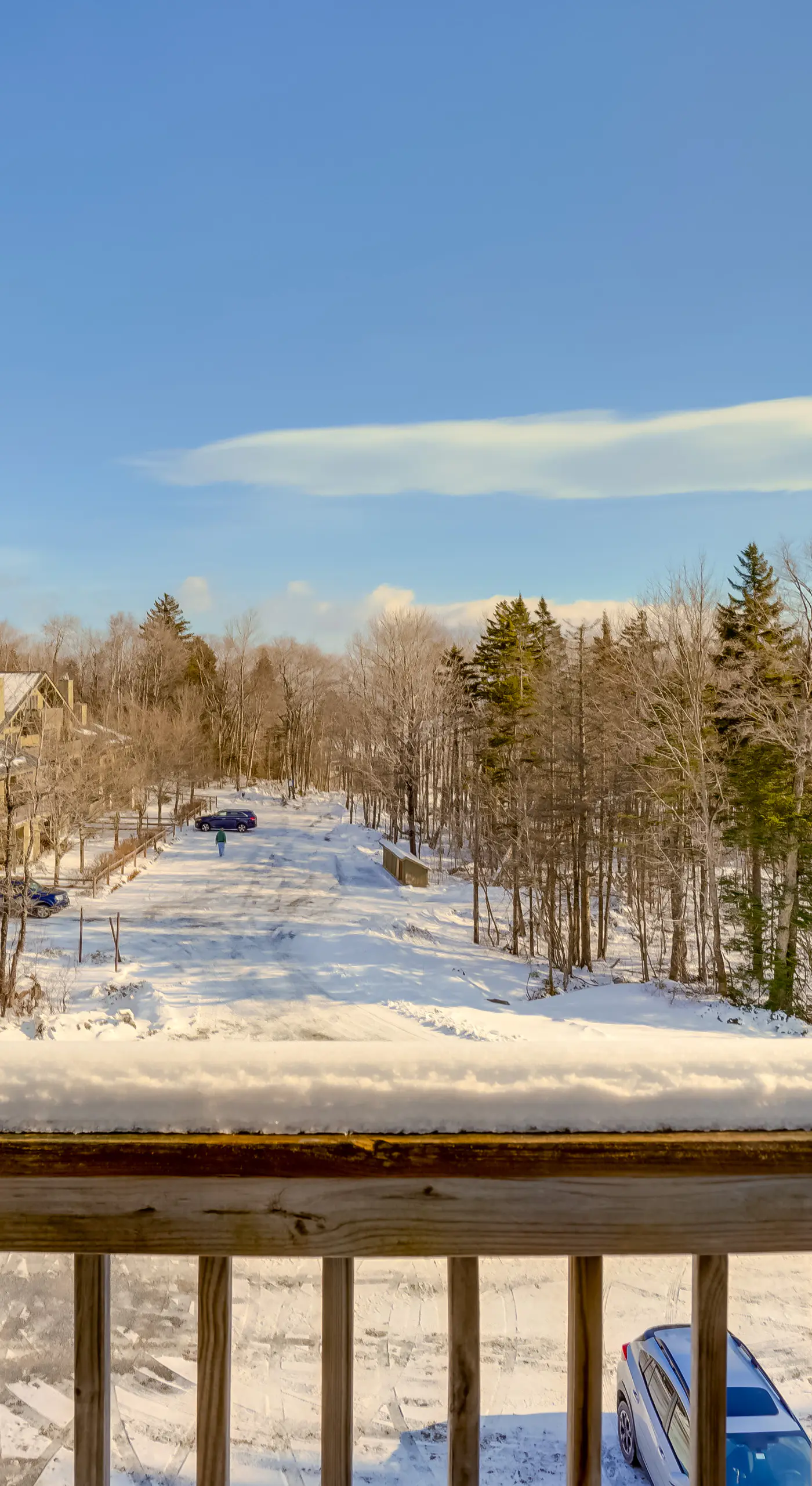 Bromley Mountain Escape w/ 2 Balconies: Hike & Ski