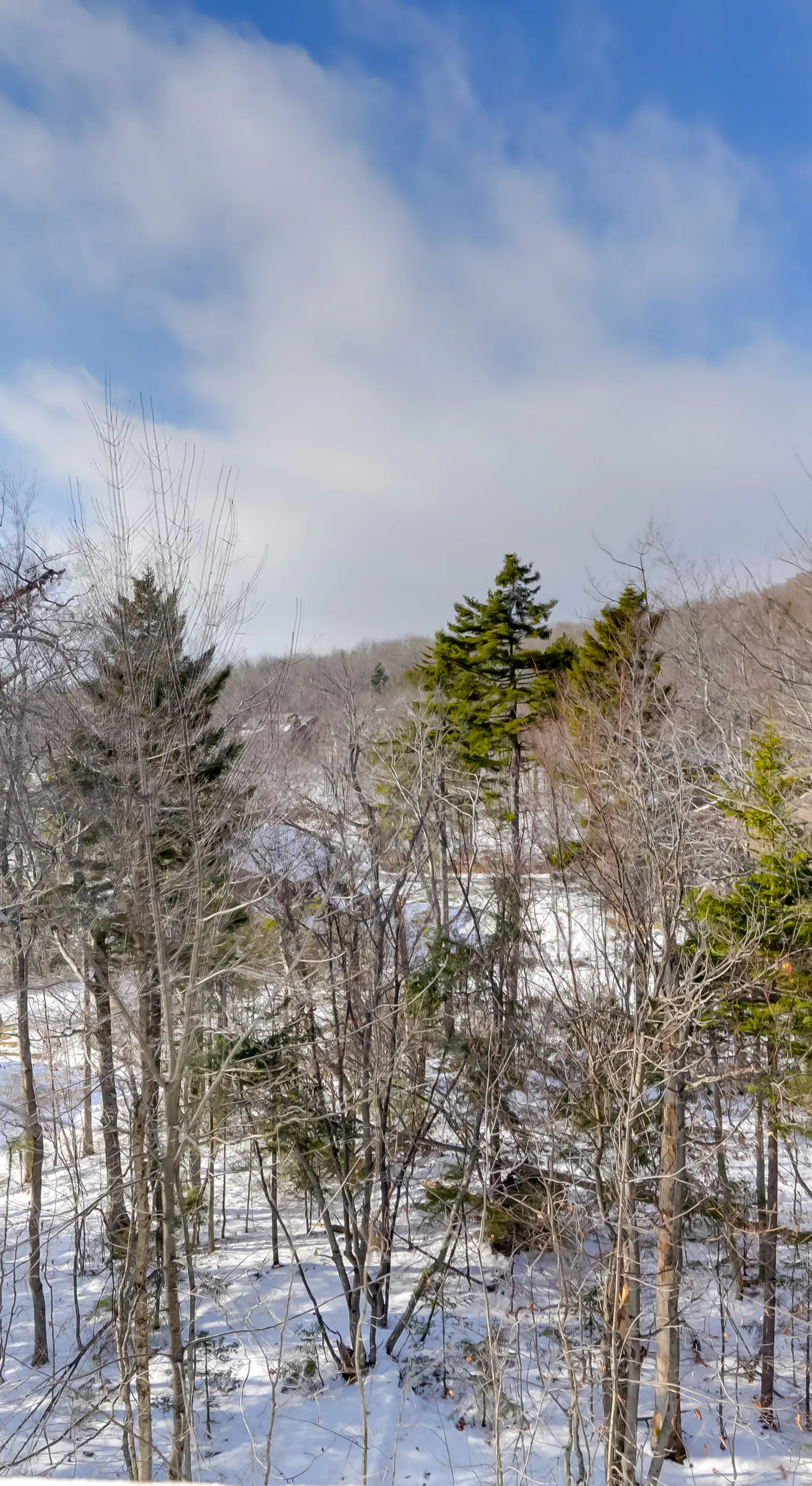 Bromley Mountain Escape w/ 2 Balconies: Hike & Ski