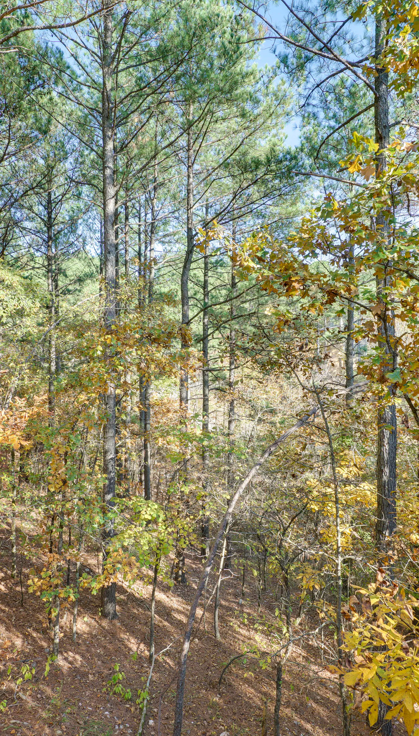 Furnished Deck, Hot Tub! Family Gem in Broken Bow
