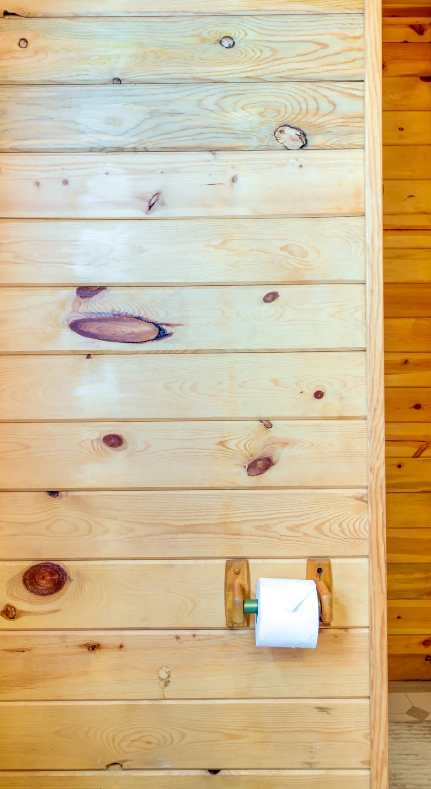 Boat + Fish on Mille Lacs Lake: ‘Walleye Cabin’