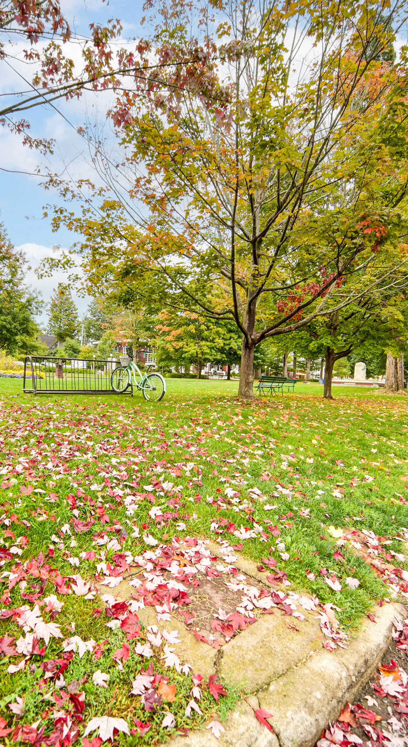 Experience Chautauqua! Newly Renovated Studio
