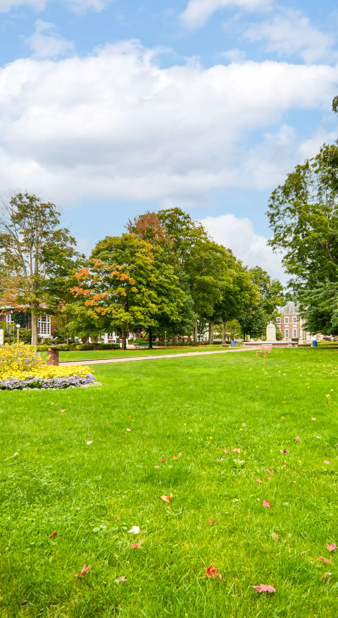 Experience Chautauqua! Newly Renovated Studio